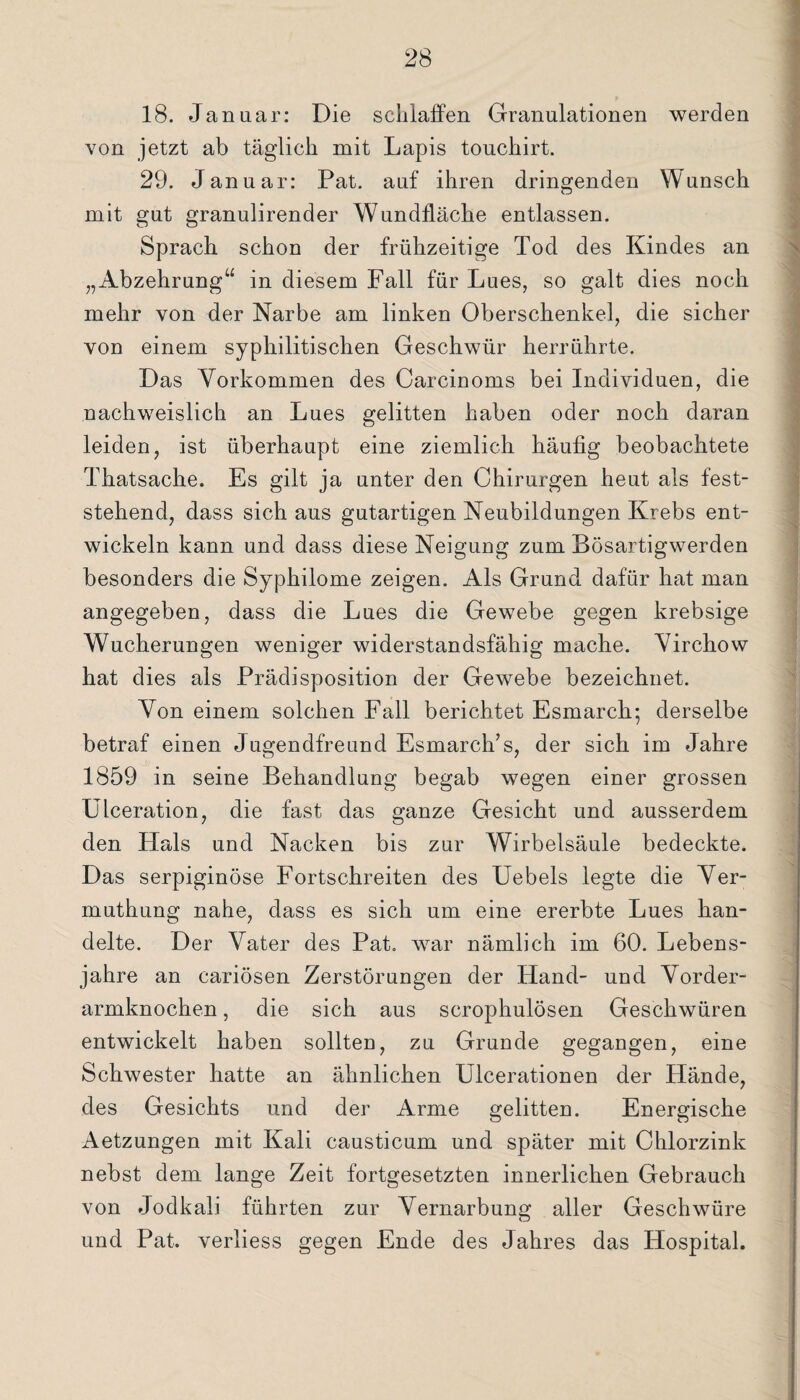 18. Januar: Die schlaffen Granulationen werden von jetzt ab täglich mit Lapis touchirt. 29. Januar: Pat. auf ihren dringenden Wunsch mit gut granulirender Wundfläche entlassen. Sprach schon der frühzeitige Tod des Kindes an „Abzehrung“ in diesem Fall für Lues, so galt dies noch mehr von der Narbe am linken Oberschenkel, die sicher von einem syphilitischen Geschwür herrührte. Das Vorkommen des Carcinoms bei Individuen, die nachweislich an Lues gelitten haben oder noch daran leiden, ist überhaupt eine ziemlich häufig beobachtete Thatsache. Es gilt ja unter den Chirurgen heut als fest¬ stehend, dass sich aus gutartigen Neubildungen Krebs ent¬ wickeln kann und dass diese Neigung zum Bösartigwerden besonders die Syphilome zeigen. Als Grund dafür hat man angegeben, dass die Lues die Gewebe gegen krebsige Wucherungen weniger widerstandsfähig mache. Virchow hat dies als Prädisposition der Gewebe bezeichnet. Von einem solchen Fall berichtet Esmarch; derselbe betraf einen Jugendfreund Esmarch’s, der sich im Jahre 1859 in seine Behandlung begab wegen einer grossen Ulceration, die fast das ganze Gesicht und ausserdem den Plals und Nacken bis zur Wirbelsäule bedeckte. Das serpiginöse Fortschreiten des Uebels legte die Ver- muthung nahe, dass es sich um eine ererbte Lues han¬ delte. Der Vater des Pat. war nämlich im 60. Lebens¬ jahre an cariösen Zerstörungen der Hand- und Vorder¬ armknochen , die sich aus scrophulösen Geschwüren entwickelt haben sollten, zu Grunde gegangen, eine Schwester hatte an ähnlichen Ulcerationen der Hände, des Gesichts und der Arme gelitten. Energische Aetzungen mit Kali causticum und später mit Chlorzink nebst dem lange Zeit fortgesetzten innerlichen Gebrauch von Jodkali führten zur Vernarbung aller Geschwüre und Pat. verliess gegen Ende des Jahres das Hospital.