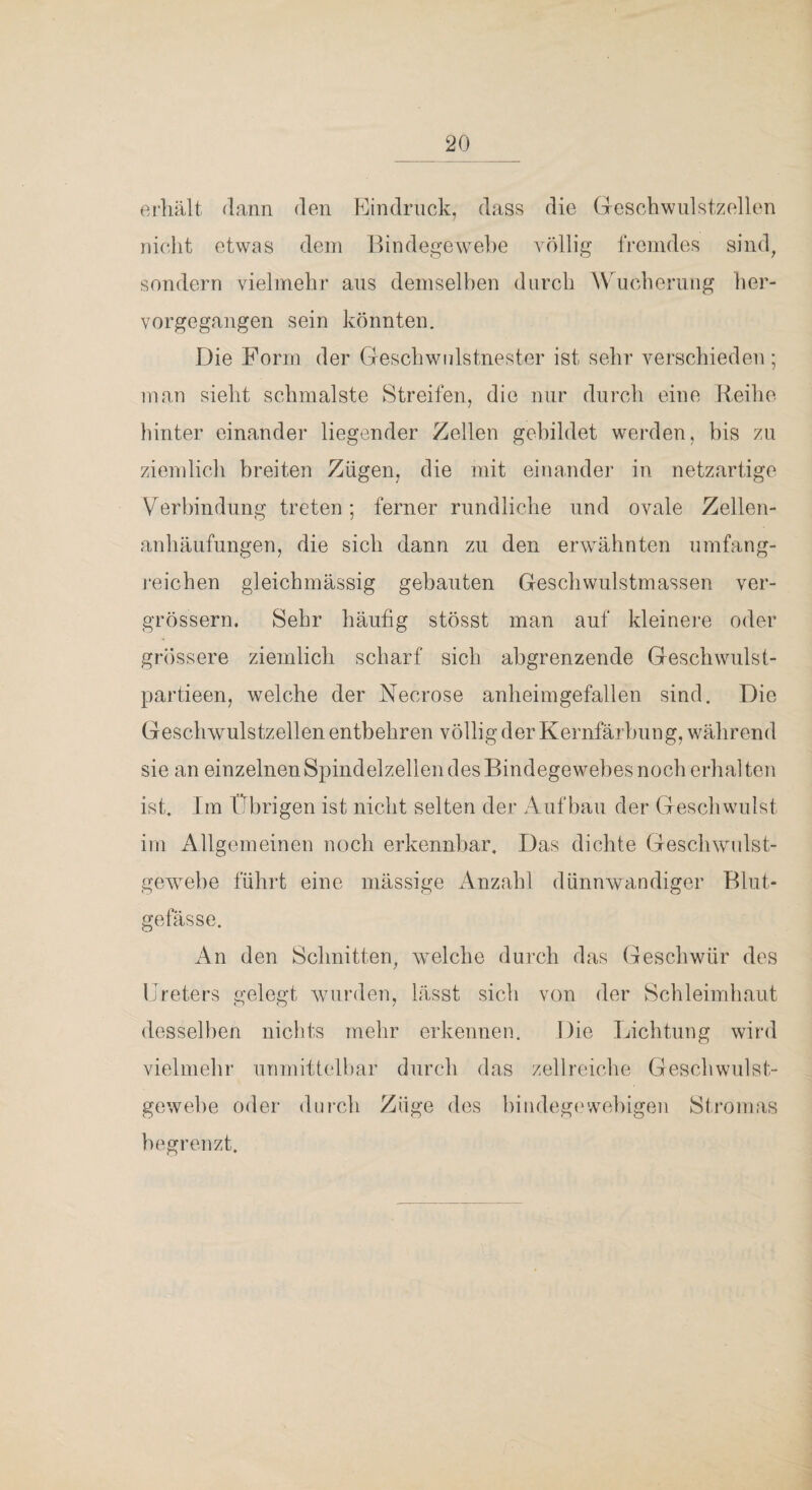 erhält dann den Eindruck, dass die Geschwulstzellen nicJit etwas dem Bindegewebe völlig fremdes sind^ sondern vielmehr aus demselben durch Wucherung her¬ vorgegangen sein könnten. Die Form der Geschwulstnester ist sehr verschieden; man sieht schmälste Streifen, die nur durch eine Reihe liinter einander liegender Zellen gebildet werden, bis zu ziendich breiten Zügen, die mit einander in netzartige Verbindung treten; ferner rundliche und ovale Zellen- aidiäufungen, die sich dann zu den erwähnten umfang- j*eichen gleichmässig gebauten Geschwulstmassen ver- grössern. Sehr häufig stösst man auf kleinere oder grössere ziemlich scharf sich abgrenzende Geschwulst- partieen, welche der Necrose anheimgefallen sind. Die Geschwulstzellen entbehren völlig der Kernfärbung, während sie an einzelnen Spindelzellen des Bindegewebes noch erhalten ist. Im Übrigen ist nicht selten der Aufbau der Geschwulst im Allgemeinen noch erkennbar. Das dichte Geschwulst- ge^vebe fühil eine mässige Anzabl dünnwandiger Blut¬ gefässe. An den Schnitten, welche dui-ch das Geschwür des Ureters gelegt Avurden, lässt sich von der Schleimhaut desselben nichts mehr erkennen. Die Liclitung wird vielmehr unmittelbar durch das zellreiche Geschwulst- gewehe o<ler durch Züge des hindegewebigen Stromas begrenzt.