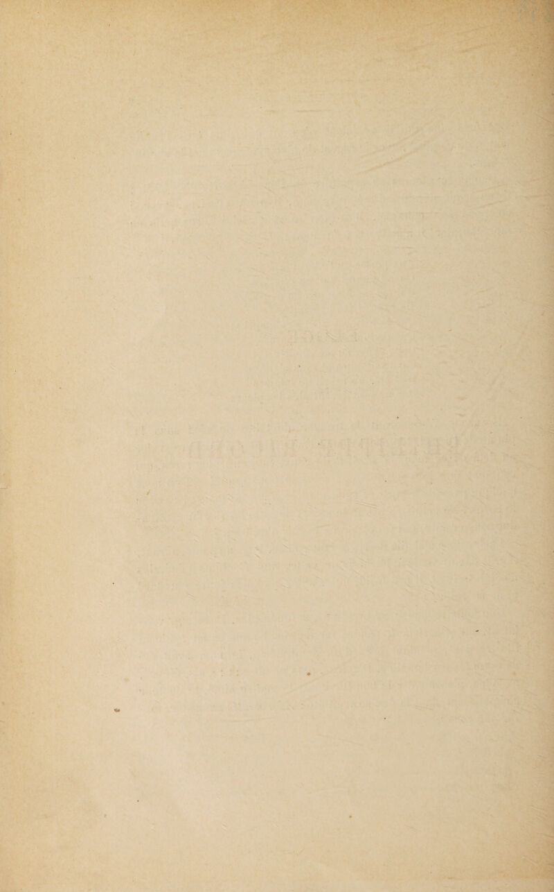 ■ . Ê* .. ■ , ' ■ . * i ' - * W ■ * . • ■ ««-