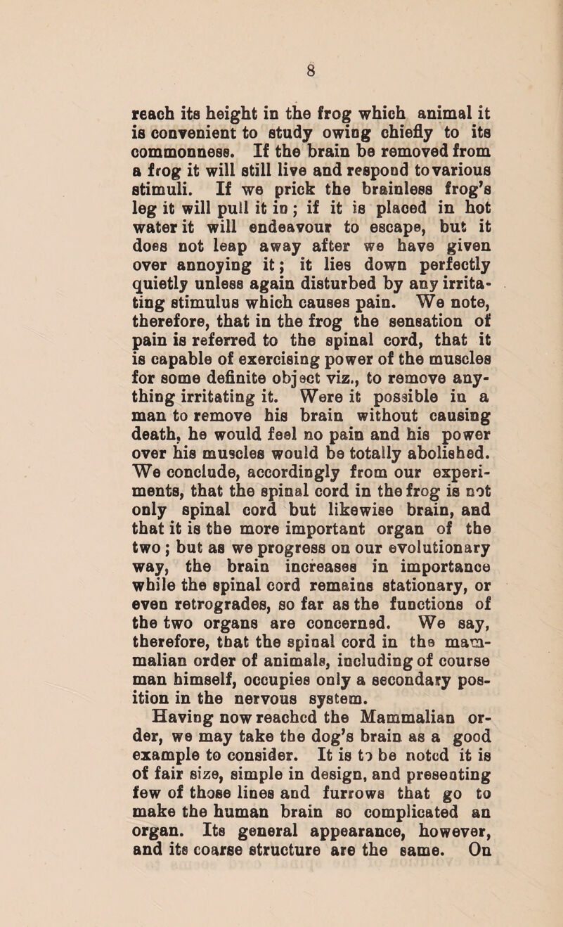 reach its height in the frog which animal it is convenient to study owing chiefly to its commonness. If the brain be removed from a frog it will still live and respond to various stimuli. If we prick the brainless frog’s leg it will puil it in; if it is placed in hot water it will endeavour to escape, but it does not leap away after we have given over annoying it; it lies down perfectly quietly unless again disturbed by any irrita¬ ting stimulus which causes pain. We note, therefore, that in the frog the sensation of pain is referred to the spinal cord, that it is capable of exercising power of the muscles for some definite object viz., to remove any¬ thing irritating it. Were it possible in a man to remove his brain without causing death, he would feel no pain and his power over his muscles would be totally abolished. We conclude, accordingly from our experi¬ ments, that the spinal cord in the frog is not only spinal cord but likewise brain, and that it is the more important organ of the two; but as we progress on our evolutionary way, the brain increases in importance while the spinal cord remains stationary, or even retrogrades, so far as the functions of the two organs are concerned. We say, therefore, that the spinal cord in the mam¬ malian order of animals, including of course man himself, occupies only a secondary pos¬ ition in the nervous system. Having now reached the Mammalian or¬ der, we may take the dog’s brain as a good example to consider. It is to be noted it is of fair size, simple in design, and presenting few of those lines and furrows that go to make the human brain so complicated an organ. Its general appearance, however, and its coarse structure are the same. Ou