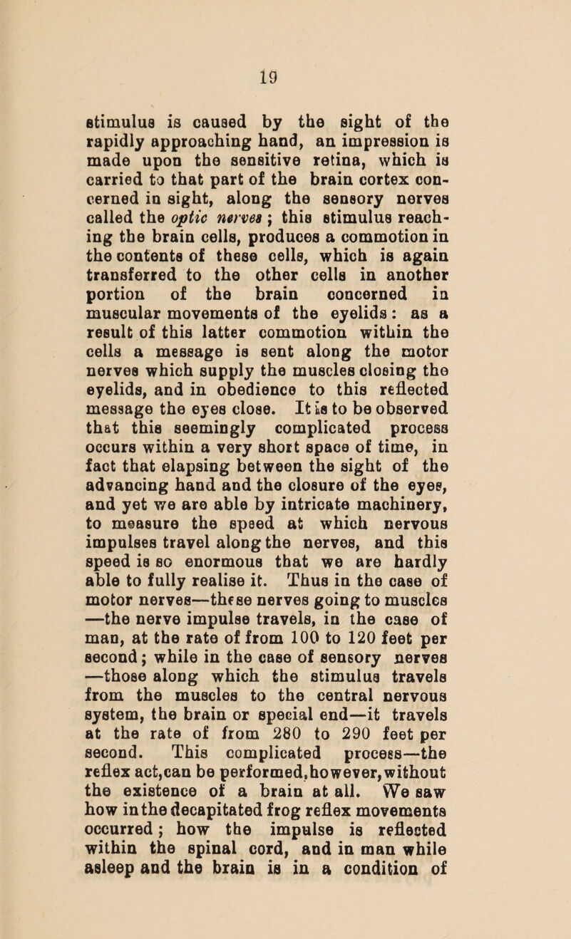 stimulus is caused by the sight of the rapidly approaching hand, an impression is made upon the sensitive retina, which is carried to that part of the brain cortex con¬ cerned in sight, along the sensory nerves called the optic nervea ; this stimulus reach¬ ing the brain cells, produces a commotion in the contents of these cells, which is again transferred to the other cells in another portion of the brain concerned in muscular movements of the eyelids: as a result of this latter commotion within the cells a message is sent along the motor nerves which supply the muscles closing the eyelids, and in obedience to this reflected message the eyes close. It is to be observed that this seemingly complicated process occurs within a very short space of time, in fact that elapsing between the sight of the advancing hand and the closure of the eyes, and yet we are able by intricate machinery, to measure the speed at which nervous impulses travel along the nerves, and this speed is so enormous that we are hardly able to fully realise it. Thus in the case of motor nerves—these nerves going to muscles —the nerve impulse travels, in the case of man, at the rate of from 100 to 120 feet per second; while in the case of sensory nerves —those along which the stimulus travels from the muscles to the central nervous system, the brain or special end—it travels at the rate of from 280 to 290 feet per second. This complicated process—the reflex act,can be performed,however,without the existence of a brain at all. We saw how in the decapitated frog reflex movements occurred; how the impulse is reflected within the spinal cord, and in man while asleep and the brain is in a condition of