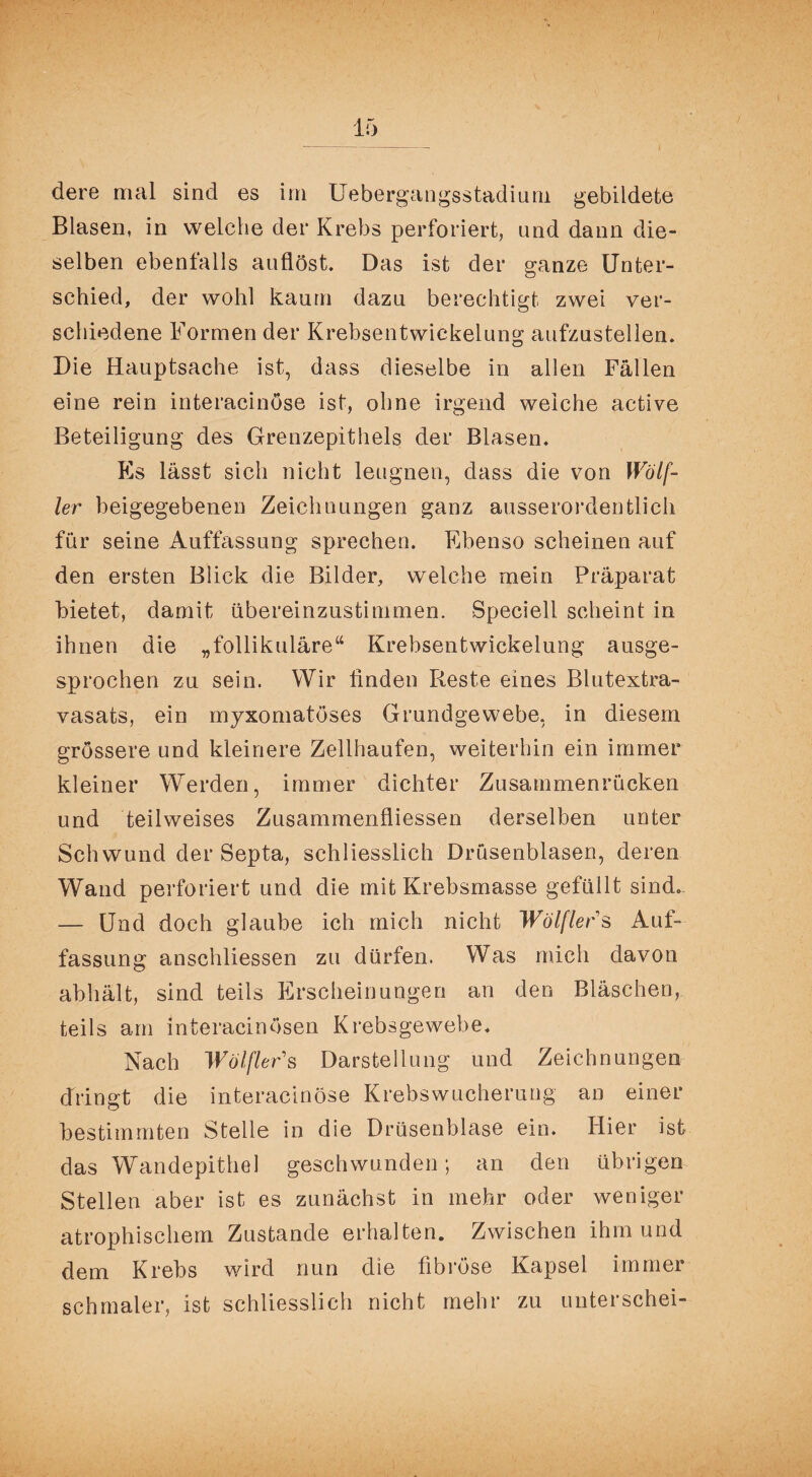 Blasen, in welche der Krebs perforiert, und dann die¬ selben ebenfalls auflöst. Das ist der ganze Unter¬ schied, der wohl kaum dazu berechtigt zwei ver¬ schiedene Formen der Krebsentwickelung aufzustellen. Die Hauptsache ist, dass dieselbe in allen Fällen eine rein interacinöse ist, ohne irgend weiche active Beteiligung des Grenzepithels der Blasen. Es lässt sich nicht leugnen, dass die von Wölf- ler beigegebenen Zeichnungen ganz ausserordentlich für seine Auffassung sprechen. Ebenso scheinen auf den ersten Blick die Bilder, welche mein Präparat bietet, damit übereinzustimmen. Speciell scheint in ihnen die „follikuläre“ Krebsentwickelung ausge¬ sprochen zu sein. Wir linden Reste eines Blutextra¬ vasats, ein myxomatöses Grundgewebe, in diesem grössere und kleinere Zellhaufen, weiterhin ein immer kleiner Werden, immer dichter Zusammenrücken und teilweises Zusammenfliessen derselben unter Sch wund der Septa, schliesslich Drüsenblasen, deren Wand perforiert und die mit Krebsmasse gefüllt sind. — Und doch glaube ich mich nicht Wölflers Auf¬ fassung anschliessen zu dürfen. Was mich davon abhält, sind teils Erscheinungen an den Bläschen, teils am interaeinösen Krebsgewebe. Nach Wolfler's Darstellung und Zeichnungen dringt die interacinöse Krebswucherung an einer bestimmten Stelle in die Drüsenblase ein. Hier ist das Wandepithel geschwunden; an den übrigen Stellen aber ist es zunächst in mehr oder weniger atrophischem Zustande erhalten. Zwischen ihm und dem Krebs wird nun die fibröse Kapsel immer schmaler, ist schliesslich nicht mehr zu unterschei-