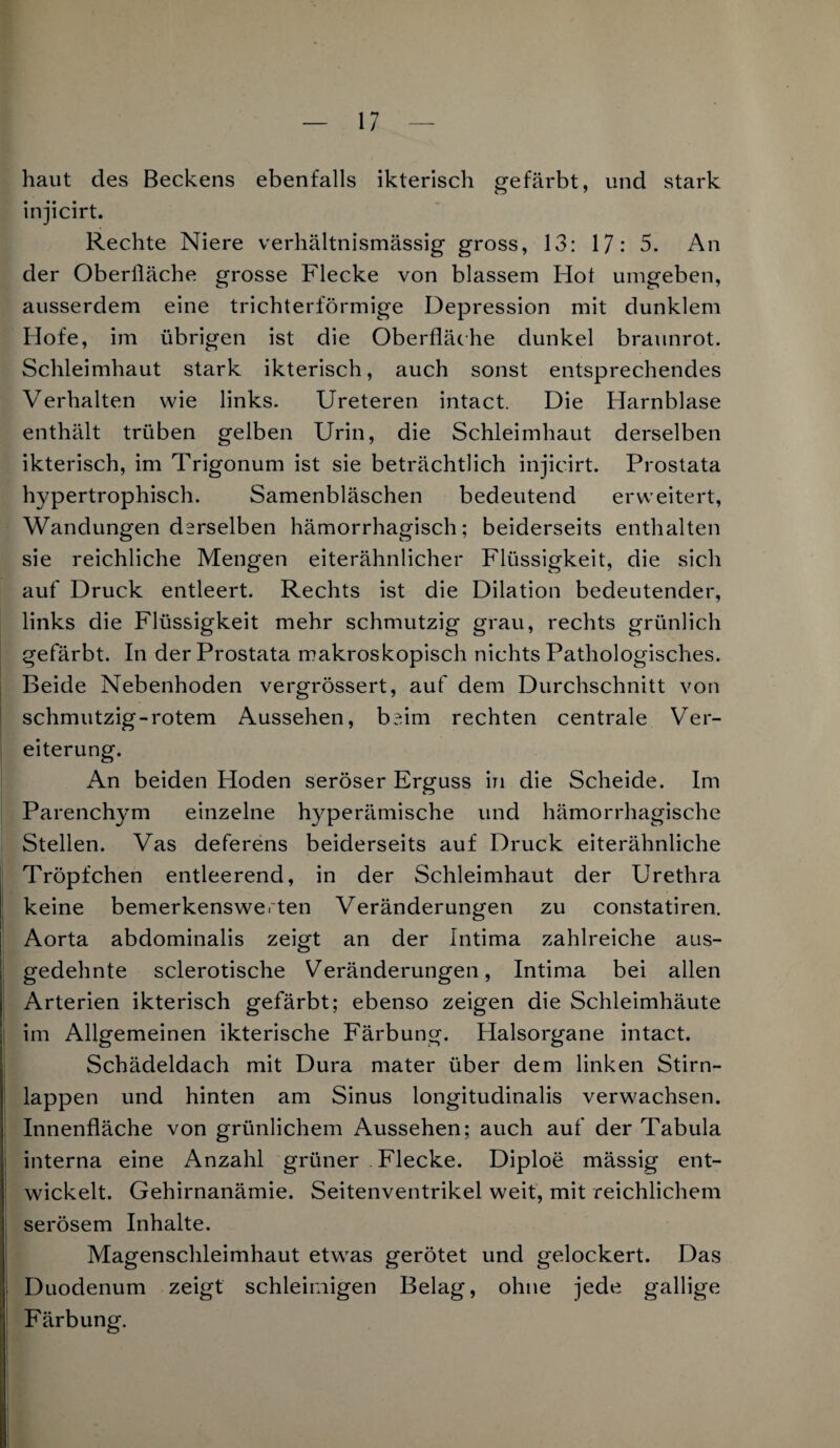 haut des Beckens ebenfalls ikterisch gefärbt, und stark injicirt. Rechte Niere verhältnismässig gross, 13: 17: 5. An der Oberfläche grosse Flecke von blassem Hot umgeben, ausserdem eine trichterförmige Depression mit dunklem Hofe, im übrigen ist die Oberfläche dunkel braunrot. Schleimhaut stark ikterisch, auch sonst entsprechendes Verhalten wie links. Ureteren intact. Die Harnblase enthält trüben gelben Urin, die Schleimhaut derselben ikterisch, im Trigonum ist sie beträchtlich injicirt. Prostata hypertrophisch. Samenbläschen bedeutend erweitert, Wandungen derselben hämorrhagisch; beiderseits enthalten sie reichliche Mengen eiterähnlicher Flüssigkeit, die sich auf Druck entleert. Rechts ist die Dilation bedeutender, links die Flüssigkeit mehr schmutzig grau, rechts grünlich gefärbt. In der Prostata makroskopisch nichts Pathologisches. Beide Nebenhoden vergrössert, auf dem Durchschnitt von schmutzig-rotem Aussehen, b?.im rechten centrale Ver¬ eiterung. An beiden Hoden seröser Erguss in die Scheide. Im Parenchym einzelne hyperämische und hämorrhagische Stellen. Vas deferens beiderseits auf Druck eiterähnliche Tröpfchen entleerend, in der Schleimhaut der Urethra keine bemerkenswerten Veränderungen zu constatiren. Aorta abdominalis zeigt an der Intima zahlreiche aus¬ gedehnte sclerotische Veränderungen, Intima bei allen Arterien ikterisch gefärbt; ebenso zeigen die Schleimhäute im Allgemeinen ikterische Färbung. Halsorgane intact. Schädeldach mit Dura mater über dem linken Stirn¬ lappen und hinten am Sinus longitudinalis verwachsen. Innenfläche von grünlichem Aussehen; auch auf der Tabula interna eine Anzahl grüner Flecke. Diploe mässig ent¬ wickelt. Gehirnanämie. Seitenventrikel weit, mit reichlichem serösem Inhalte. Magenschleimhaut etwas gerötet und gelockert. Das Duodenum zeigt schleimigen Belag, ohne jede gallige Färbung.