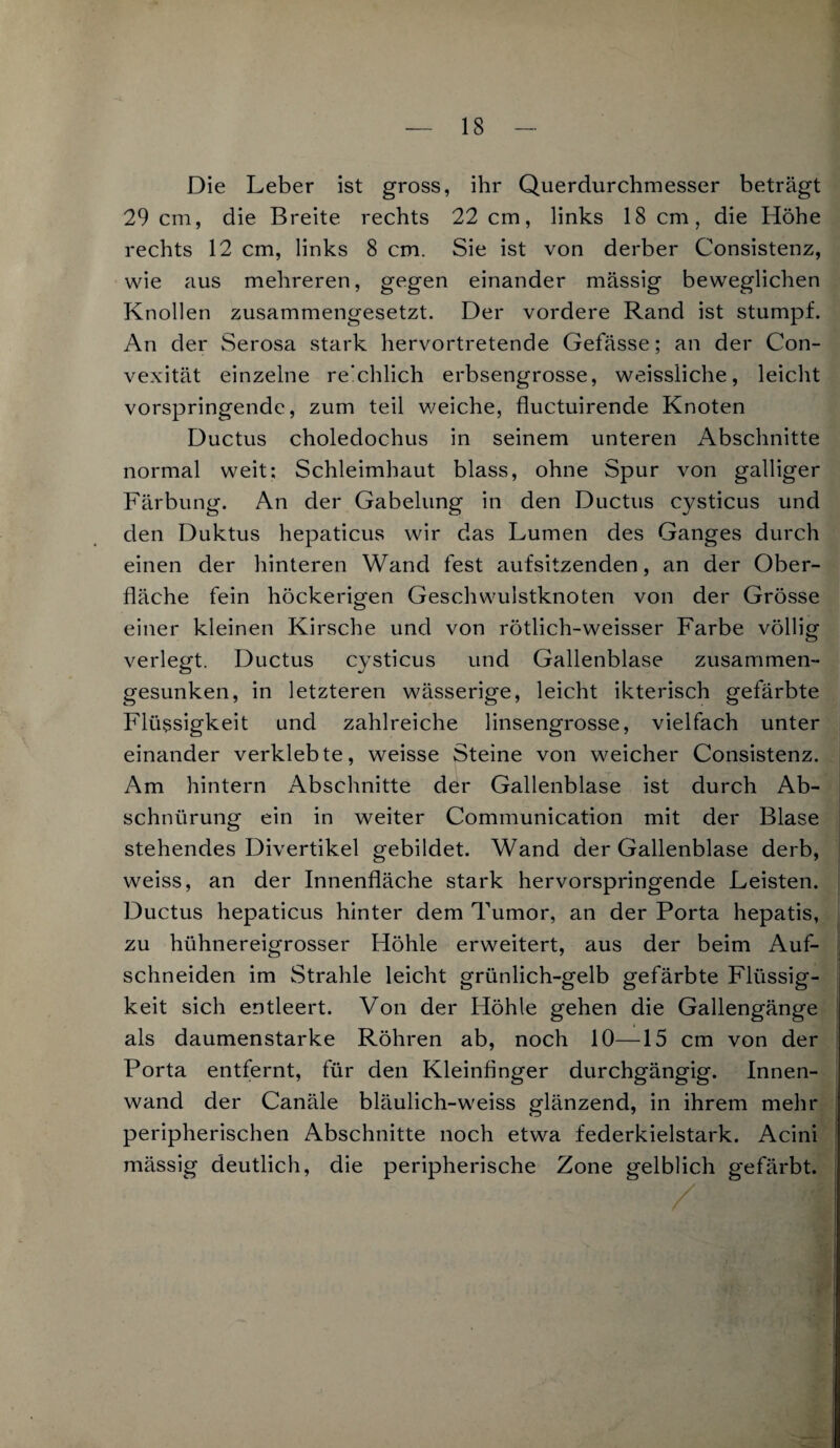 Die Leber ist gross, ihr Querdurchmesser beträgt 29 cm, die Breite rechts 22 cm, links 18 cm, die Höhe rechts 12 cm, links 8 cm. Sie ist von derber Consistenz, wie aus mehreren, gegen einander massig beweglichen Knollen zusammengesetzt. Der vordere Rand ist stumpf. An der Serosa stark hervortretende Gefässe; an der Con- vexität einzelne re'chlich erbsengrosse, weissliche, leicht vorspringende, zum teil weiche, fluctuirende Knoten Ductus choledochus in seinem unteren Abschnitte normal weit; Schleimhaut blass, ohne Spur von galliger Färbung. An der Gabelung in den Ductus cysticus und den Duktus hepaticus wir das Lumen des Ganges durch einen der hinteren Wand fest aufsitzenden, an der Ober¬ fläche fein höckerigen Geschwulstknoten von der Grösse einer kleinen Kirsche und von rötlich-weisser Farbe völlig verlegt. Ductus cysticus und Gallenblase zusammen¬ gesunken, in letzteren wässerige, leicht ikterisch gefärbte Flüssigkeit und zahlreiche linsengrosse, vielfach unter einander verklebte, weisse Steine von weicher Consistenz. Am hintern Abschnitte der Gallenblase ist durch Ab¬ schnürung ein in weiter Communication mit der Blase stehendes Divertikel gebildet. Wand der Gallenblase derb, weiss, an der Innenfläche stark hervorspringende Leisten. Ductus hepaticus hinter dem Tumor, an der Porta hepatis, zu hühnereigrosser Höhle erweitert, aus der beim Auf¬ schneiden im Strahle leicht grünlich-gelb gefärbte Flüssig¬ keit sich entleert. Von der Höhle gehen die Gallengänge als daumenstarke Röhren ab, noch 10—15 cm von der Porta entfernt, für den Kleinfinger durchgängig. Innen¬ wand der Canäle bläulich-weiss glänzend, in ihrem mehr peripherischen Abschnitte noch etwa federkielstark. Acini mässig deutlich, die peripherische Zone gelblich gefärbt.