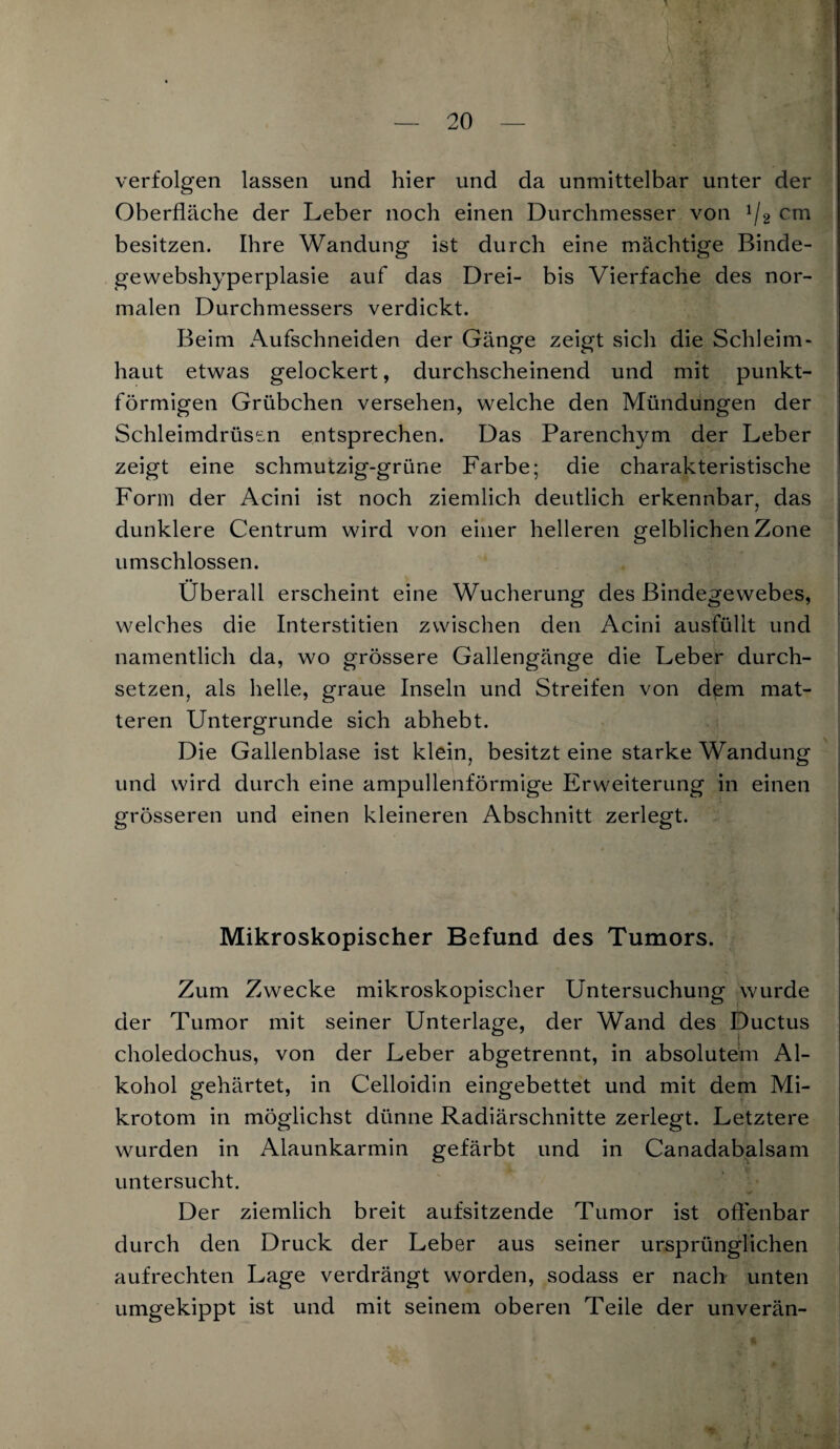 verfolgen lassen und hier und da unmittelbar unter der Oberfläche der Leber noch einen Durchmesser von 1j2 cm besitzen. Ihre Wandung ist durch eine mächtige Binde- gewebshyperplasie auf das Drei- bis Vierfache des nor¬ malen Durchmessers verdickt. Beim Aufschneiden der Gänge zeigt sich die Schleim¬ haut etwas gelockert, durchscheinend und mit punkt¬ förmigen Grübchen versehen, welche den Mündungen der Schleimdrüsen entsprechen. Das Parenchym der Leber zeigt eine schmutzig-grüne Farbe; die charakteristische Form der Acini ist noch ziemlich deutlich erkennbar, das dunklere Centrum wird von einer helleren gelblichen Zone umschlossen. Überall erscheint eine Wucherung des Bindegewebes, welches die Interstitiell zwischen den Acini ausfüllt und namentlich da, wo grössere Gallengänge die Leber durch¬ setzen, als helle, graue Inseln und Streifen von dem mat¬ teren Untergründe sich abhebt. Die Gallenblase ist klein, besitzt eine starke Wandung und wird durch eine ampullenförmige Erweiterung in einen grösseren und einen kleineren Abschnitt zerlegt. Mikroskopischer Befund des Tumors. Zum Zwecke mikroskopischer Untersuchung wurde der Tumor mit seiner Unterlage, der Wand des Ductus choledochus, von der Leber abgetrennt, in absolutem Al¬ kohol gehärtet, in Celloidin eingebettet und mit dem Mi¬ krotom in möglichst dünne Radiärschnitte zerlegt. Letztere wurden in Alaunkarmin gefärbt und in Canadabalsam untersucht. Der ziemlich breit aufsitzende Tumor ist offenbar durch den Druck der Leber aus seiner ursprünglichen aufrechten Lage verdrängt worden, sodass er nach unten umgekippt ist und mit seinem oberen Teile der unverän- 4