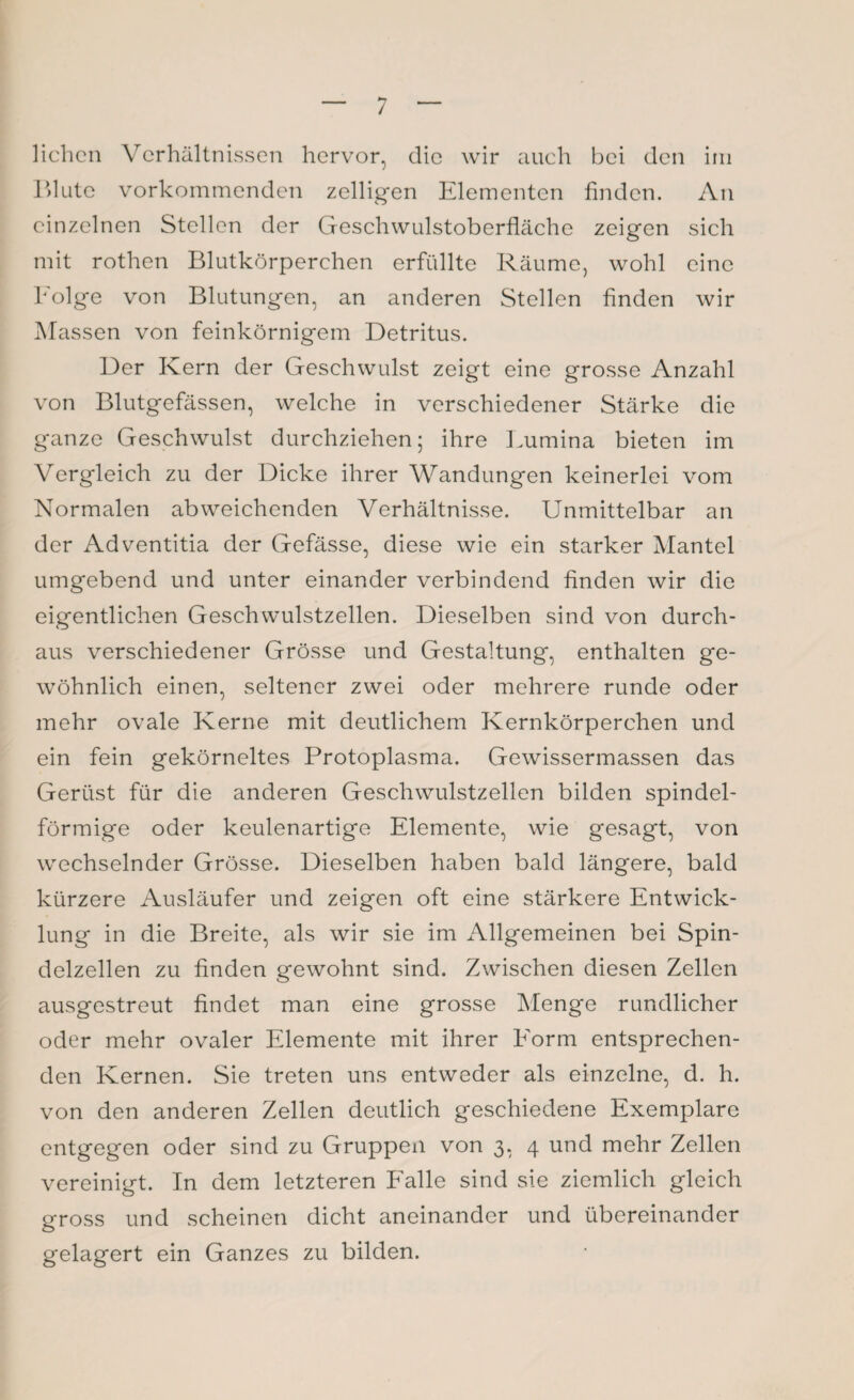 liehen Verhältnissen hervor, die wir auch bei den im Blute vorkommenden zelligen Elementen finden. An einzelnen Stellen der Geschwulstoberfläche zeigen sich mit rothen Blutkörperchen erfüllte Räume, wohl eine Folge von Blutungen, an anderen Stellen finden wir Massen von feinkörnigem Detritus. Der Kern der Geschwulst zeigt eine grosse Anzahl von Blutgefässen, welche in verschiedener Stärke die ganze Geschwulst durchziehen; ihre Lumina bieten im Vergleich zu der Dicke ihrer Wandungen keinerlei vom Normalen abweichenden Verhältnisse. Unmittelbar an der Adventitia der Gefässe, diese wie ein starker Mantel umgebend und unter einander verbindend finden wir die eigentlichen Geschwulstzellen. Dieselben sind von durch¬ aus verschiedener Grösse und Gestaltung, enthalten ge¬ wöhnlich einen, seltener zwei oder mehrere runde oder mehr ovale Kerne mit deutlichem Kernkörperchen und ein fein gekörneltes Protoplasma. Gewissermassen das Gerüst für die anderen Geschwulstzellen bilden spindel¬ förmige oder keulenartige Elemente, wie gesagt, von wechselnder Grösse. Dieselben haben bald längere, bald kürzere Ausläufer und zeigen oft eine stärkere Entwick¬ lung in die Breite, als wir sie im Allgemeinen bei Spin¬ delzellen zu finden gewohnt sind. Zwischen diesen Zellen ausgestreut findet man eine grosse Menge rundlicher oder mehr ovaler Elemente mit ihrer Form entsprechen¬ den Kernen. Sie treten uns entweder als einzelne, d. h. von den anderen Zellen deutlich geschiedene Exemplare entgegen oder sind zu Gruppen von 3, 4 und mehr Zellen vereinigt. In dem letzteren Falle sind sie ziemlich gleich gross und scheinen dicht aneinander und übereinander gelagert ein Ganzes zu bilden.