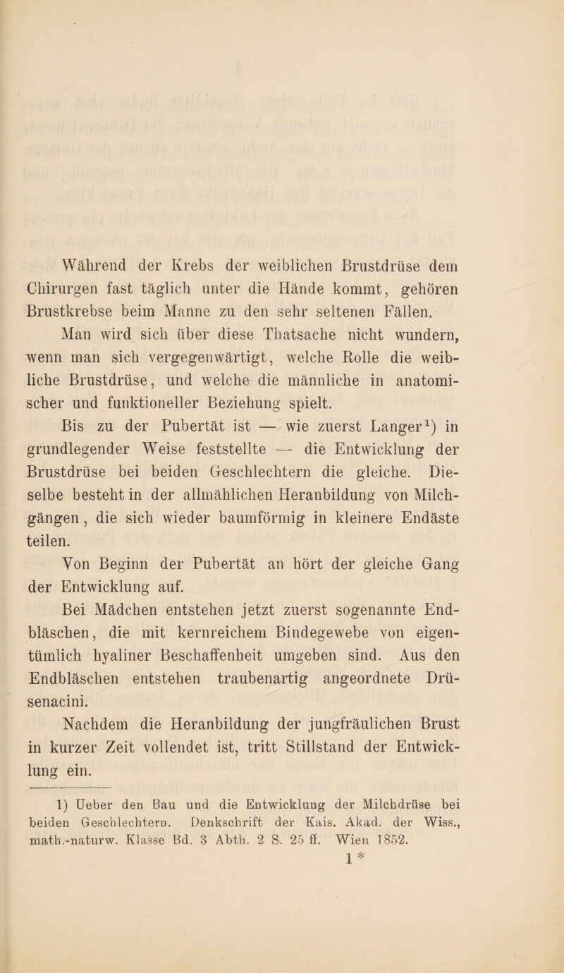 Während der Krebs der weiblichen Brustdrüse dem Chirurgen fast täglich unter die Hände kommt, gehören Brustkrebse beim Manne zu den sehr seltenen Fällen. Man wird sich über diese Thatsache nicht wundern, wenn man sich vergegenwärtigt, welche Rolle die weib¬ liche Brustdrüse, und welche die männliche in anatomi¬ scher und funktioneller Beziehung spielt. Bis zu der Pubertät ist — wie zuerst Langer1) in grundlegender Weise feststellte — die Entwicklung der Brustdrüse bei beiden Geschlechtern die gleiche. Die¬ selbe besteht in der allmählichen Heranbildung von Milch¬ gängen , die sich wieder baumförmig in kleinere Endäste teilen. Von Beginn der Pubertät an hört der gleiche Gang der Entwicklung auf. Bei Mädchen entstehen jetzt zuerst sogenannte End¬ bläschen, die mit kernreichem Bindegewebe von eigen¬ tümlich hyaliner Beschaffenheit umgeben sind. Aus den Endbläschen entstehen traubenartig angeordnete Drü- senacini. Nachdem die Heranbildung der jungfräulichen Brust in kurzer Zeit vollendet ist, tritt Stillstand der Entwick¬ lung ein. 1) Ueber den Bau und die Entwicklung der Milchdrüse bei beiden Geschlechtern. Denkschrift der Kais. Akad. der Wiss., math.-naturw. Klasse Bd. 3 Abth. 2 S. 25 ff. Wien 1852. 1*