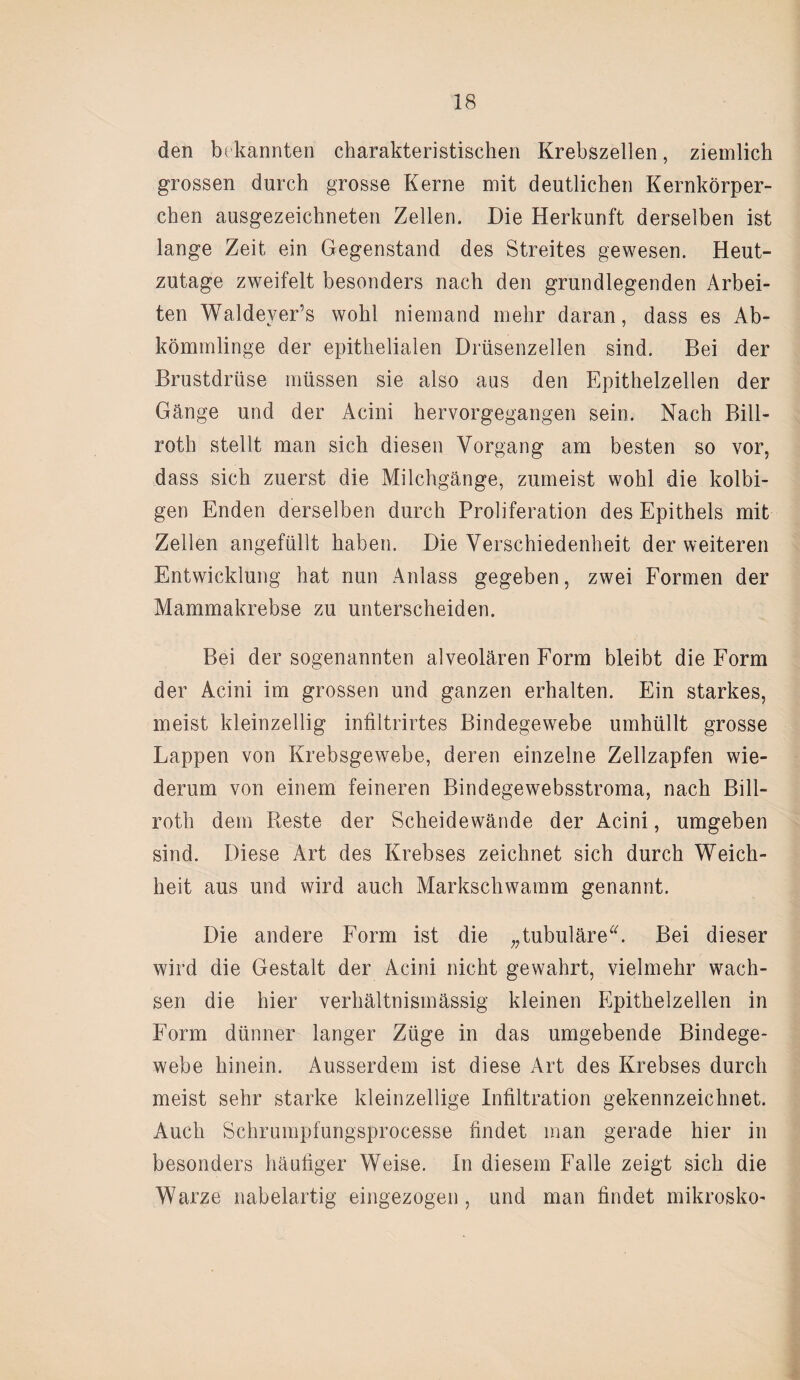 den bekannten charakteristischen Krebszellen, ziemlich grossen durch grosse Kerne mit deutlichen Kernkörper¬ chen ausgezeichneten Zellen. Die Herkunft derselben ist lange Zeit ein Gegenstand des Streites gewesen. Heut¬ zutage zweifelt besonders nach den grundlegenden Arbei¬ ten Waldever’s wohl niemand mehr daran, dass es Ab¬ kömmlinge der epithelialen Drüsenzellen sind. Bei der Brustdrüse müssen sie also aas den Epithelzellen der Gänge und der Acini hervorgegangen sein. Nach Bill- roth stellt man sich diesen Vorgang am besten so vor, dass sich zuerst die Milchgänge, zumeist wohl die kolbi- gen Enden derselben durch Proliferation des Epithels mit Zellen angefüllt haben. Die Verschiedenheit der weiteren Entwicklung hat nun Anlass gegeben, zwei Formen der Mammakrebse zu unterscheiden. Bei der sogenannten alveolären Form bleibt die Form der Acini im grossen und ganzen erhalten. Ein starkes, meist kleinzellig infiltrirtes Bindegewebe umhüllt grosse Lappen von Krebsgewebe, deren einzelne Zellzapfen wie¬ derum von einem feineren Bindegewebsstroma, nach Bill- rotli dem Reste der Scheidewände der Acini, umgeben sind. Diese Art des Krebses zeichnet sich durch Weich¬ heit aus und wird auch Markschwamm genannt. Die andere Form ist die „tubuläre“. Bei dieser wird die Gestalt der Acini nicht gewahrt, vielmehr wach¬ sen die hier verhältnismässig kleinen Epithelzellen in Form dünner langer Züge in das umgebende Bindege¬ webe hinein. Ausserdem ist diese Art des Krebses durch meist sehr starke kleinzellige Infiltration gekennzeichnet. Auch Schrumpfungsprocesse findet man gerade hier in besonders häufiger Weise. In diesem Falle zeigt sich die Warze nabelartig eingezogen, und man findet mikrosko-
