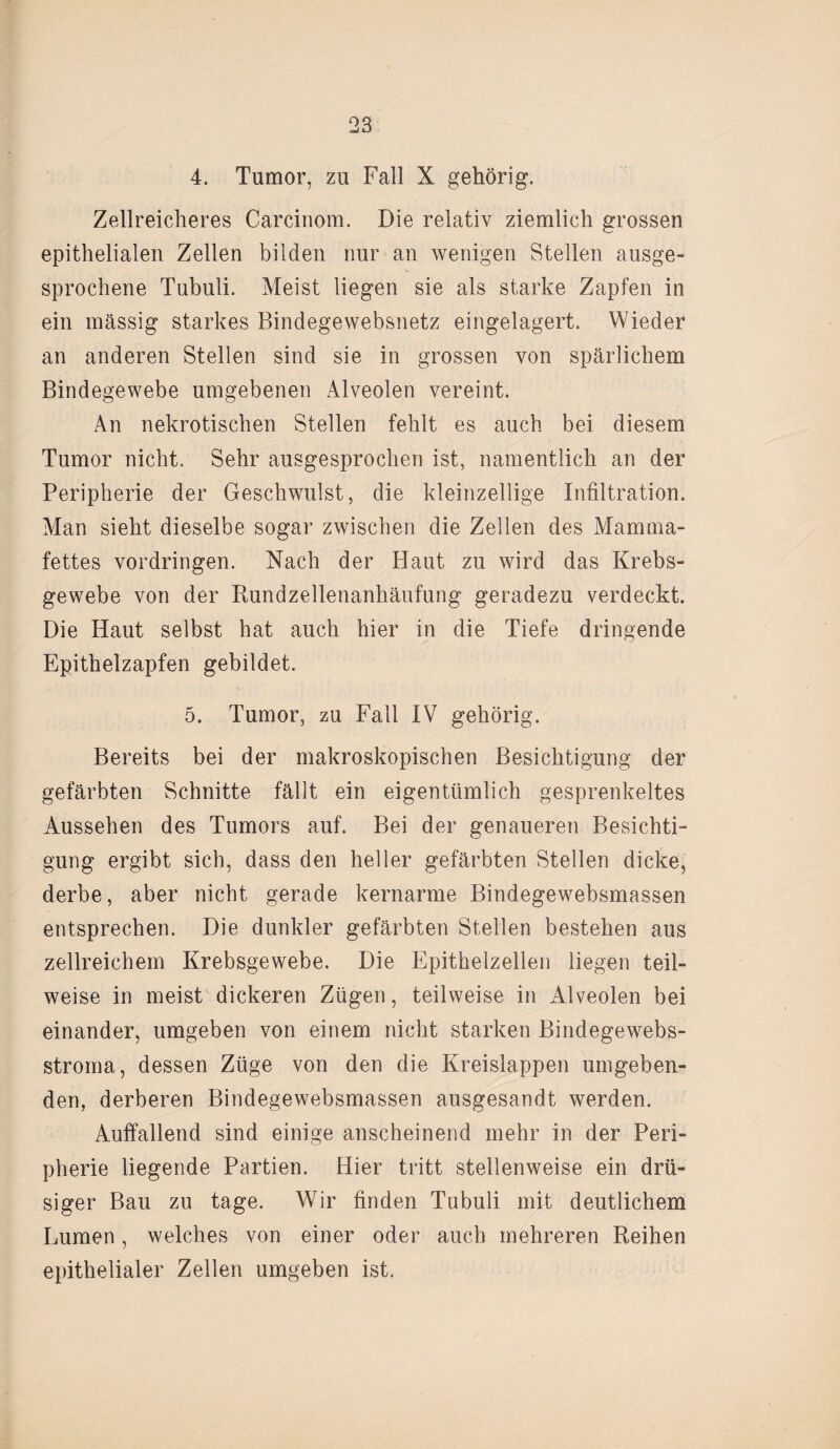 4. Tumor, zu Fall X gehörig. Zellreicheres Carcinom. Die relativ ziemlich grossen epithelialen Zellen bilden nur an wenigen Stellen ausge¬ sprochene Tubuli. Meist liegen sie als starke Zapfen in ein massig starkes Bindegewebsnetz eingelagert. Wieder an anderen Stellen sind sie in grossen von spärlichem Bindegewebe umgebenen Alveolen vereint. An nekrotischen Stellen fehlt es auch bei diesem Tumor nicht. Sehr ausgesprochen ist, namentlich an der Peripherie der Geschwulst, die kleinzellige Infiltration. Man sieht dieselbe sogar zwischen die Zellen des Mamma- fettes Vordringen. Nach der Haut zu wird das Krebs¬ gewebe von der Rundzellenanhäufung geradezu verdeckt. Die Haut selbst hat auch hier in die Tiefe dringende Epithelzapfen gebildet. 5. Tumor, zu Fall IV gehörig. Bereits bei der makroskopischen Besichtigung der gefärbten Schnitte fällt ein eigentümlich gesprenkeltes Aussehen des Tumors auf. Bei der genaueren Besichti¬ gung ergibt sich, dass den heller gefärbten Stellen dicke, derbe, aber nicht gerade kernarme Bindegewebsmassen entsprechen. Die dunkler gefärbten Stellen bestehen aus zellreichem Krebsgewebe. Die Epithelzellen liegen teil¬ weise in meist dickeren Zügen, teilweise in Alveolen bei einander, umgeben von einem nicht starken Bindegewebs- stroma, dessen Züge von den die Kreislappen umgeben¬ den, derberen Bindegewebsmassen ausgesandt werden. Auffallend sind einige anscheinend mehr in der Peri¬ pherie liegende Partien. Hier tritt stellenweise ein drü¬ siger Bau zu tage. Wir finden Tubuli mit deutlichem Lumen, welches von einer oder auch mehreren Reihen epithelialer Zellen umgeben ist.