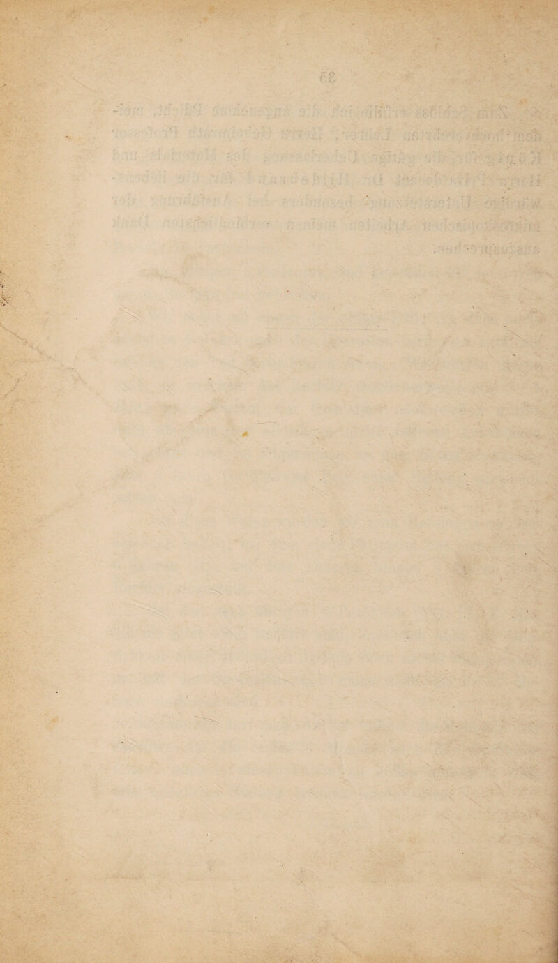 ' ./ ^ • ■ . - , •• - • ■ : f 0 -C ; • * ' =' ’ ’ g;| ' ■ ' s’' ■ . Sv . J ;■ :?■ : ■ . i • .. ~ *». • ■ \ A * -> 0 * - ■ J '■ i < - : I- 4 ■ vl '*■ Jl '
