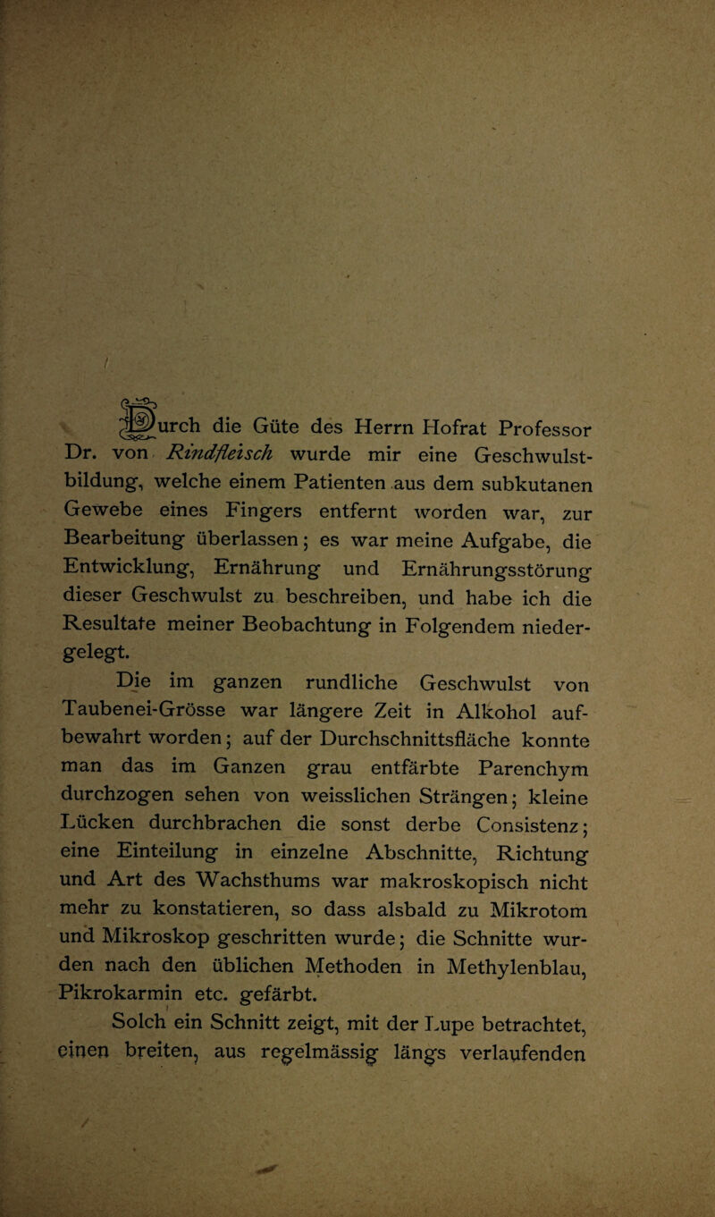 / Jj^urch die Güte des Herrn Hofrat Professor Dr. von Rindfleisch wurde mir eine Geschwulst¬ bildung, welche einem Patienten aus dem subkutanen Gewebe eines Fingers entfernt worden war, zur Bearbeitung überlassen; es war meine Aufgabe, die Entwicklung, Ernährung und Ernährungsstörung dieser Geschwulst zu beschreiben, und habe ich die Resultate meiner Beobachtung in Folgendem nieder¬ gelegt. Die im ganzen rundliche Geschwulst von Taubenei-Grösse war längere Zeit in Alkohol auf¬ bewahrt worden; auf der Durchschnittsfläche konnte man das im Ganzen grau entfärbte Parenchym durchzogen sehen von weisslichen Strängen; kleine Lücken durchbrachen die sonst derbe Consistenz; eine Einteilung in einzelne Abschnitte, Richtung und Art des Wachsthums war makroskopisch nicht mehr zu konstatieren, so dass alsbald zu Mikrotom und Mikroskop geschritten wurde; die Schnitte wur¬ den nach den üblichen Methoden in Methylenblau, Pikrokarmin etc. gefärbt. Solch ein Schnitt zeigt, mit der Lupe betrachtet, einen breiten, aus regelmässig längs verlaufenden
