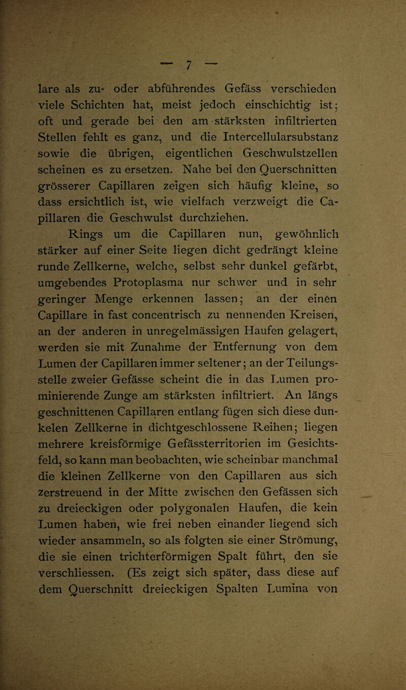 lare als zu- oder abführendes Gefäss verschieden viele Schichten hat, meist jedoch einschichtig ist; oft und gerade bei den am stärksten infiltrierten Stellen fehlt es ganz, und die Intercellularsubstanz sowie die übrigen, eigentlichen Geschwulstzellen scheinen es zu ersetzen. Nahe bei den Querschnitten grösserer Capillaren zeigen sich häufig kleine, so dass ersichtlich ist, wie vielfach verzweigt die Ca¬ pillaren die Geschwulst durchziehen. Rings um die Capillaren nun, gewöhnlich stärker auf einer Seite liegen dicht gedrängt kleine runde Zellkerne, welche, selbst sehr dunkel gefärbt, umgebendes Protoplasma nur schwer und in sehr geringer Menge erkennen lassen; an der einen Capillare in fast concentrisch zu nennenden Kreisen, an der anderen in unregelmässigen Haufen gelagert, werden sie mit Zunahme der Entfernung von dem Lumen der Capillaren immer seltener; an der Teilungs¬ stelle zweier Gefässe scheint die in das Lumen pro¬ minierende Zunge am stärksten infiltriert. An längs geschnittenen Capillaren entlang fügen sich diese dun- kelen Zellkerne in dichtgeschlossene Reihen; liegen mehrere kreisförmige Gefässterritorien im Gesichts¬ feld, so kann man beobachten, wie scheinbar manchmal die kleinen Zellkerne von den Capillaren aus sich zerstreuend in der Mitte zwischen den Gefässen sich zu dreieckigen oder polygonalen Haufen, die kein Lumen haben, wie frei neben einander liegend sich wieder ansammeln, so als folgten sie einer Strömung, die sie einen trichterförmigen Spalt führt, den sie verschliessen. (Es zeigt sich später, dass diese auf dem Querschnitt dreieckigen Spalten Lumina von