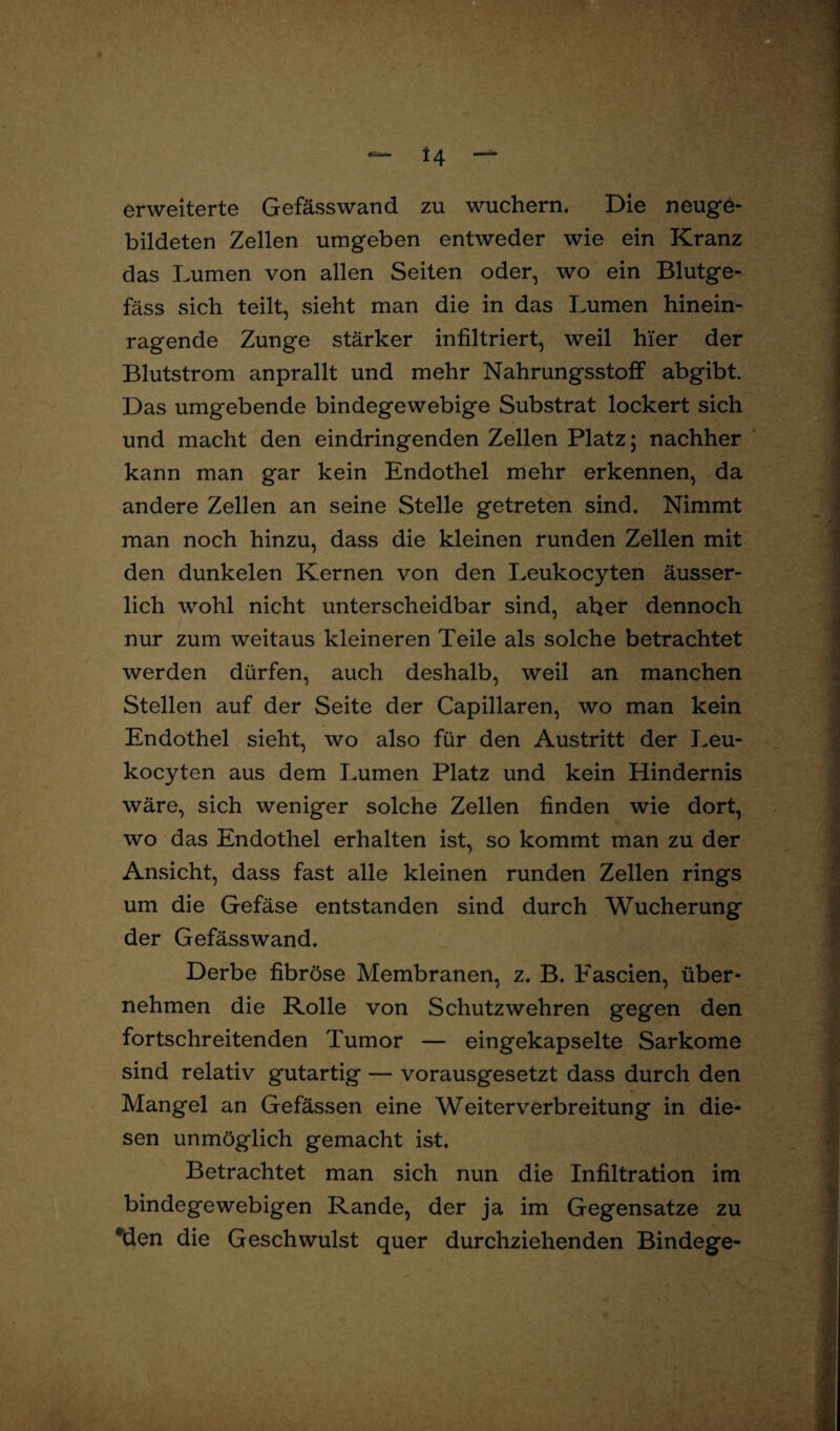 ~ H — erweiterte Gefässwand zu wuchern. Die neuge¬ bildeten Zellen umgeben entweder wie ein Kranz das Lumen von allen Seiten oder, wo ein Blutge¬ fäss sich teilt, sieht man die in das Lumen hinein¬ ragende Zunge stärker infiltriert, weil hier der Blutstrom anprallt und mehr Nahrungsstoff abgibt. Das umgebende bindegewebige Substrat lockert sich und macht den eindringenden Zellen Platz; nachher kann man gar kein Endothel mehr erkennen, da andere Zellen an seine Stelle getreten sind. Nimmt man noch hinzu, dass die kleinen runden Zellen mit den dunkelen Kernen von den Leukocyten äusser- lich wohl nicht unterscheidbar sind, aber dennoch nur zum weitaus kleineren Teile als solche betrachtet werden dürfen, auch deshalb, weil an manchen Stellen auf der Seite der Capillaren, wo man kein Endothel sieht, wo also für den Austritt der Leu¬ kocyten aus dem Lumen Platz und kein Hindernis wäre, sich weniger solche Zellen finden wie dort, wo das Endothel erhalten ist, so kommt man zu der Ansicht, dass fast alle kleinen runden Zellen rings um die Gefäse entstanden sind durch Wucherung der Gefässwand. Derbe fibröse Membranen, z. B. Eascien, über¬ nehmen die Rolle von Schutzwehren gegen den fortschreitenden Tumor — eingekapselte Sarkome sind relativ gutartig — vorausgesetzt dass durch den Mangel an Gefässen eine Weiterverbreitung in die¬ sen unmöglich gemacht ist. Betrachtet man sich nun die Infiltration im bindegewebigen Rande, der ja im Gegensätze zu *den die Geschwulst quer durchziehenden Bindege-