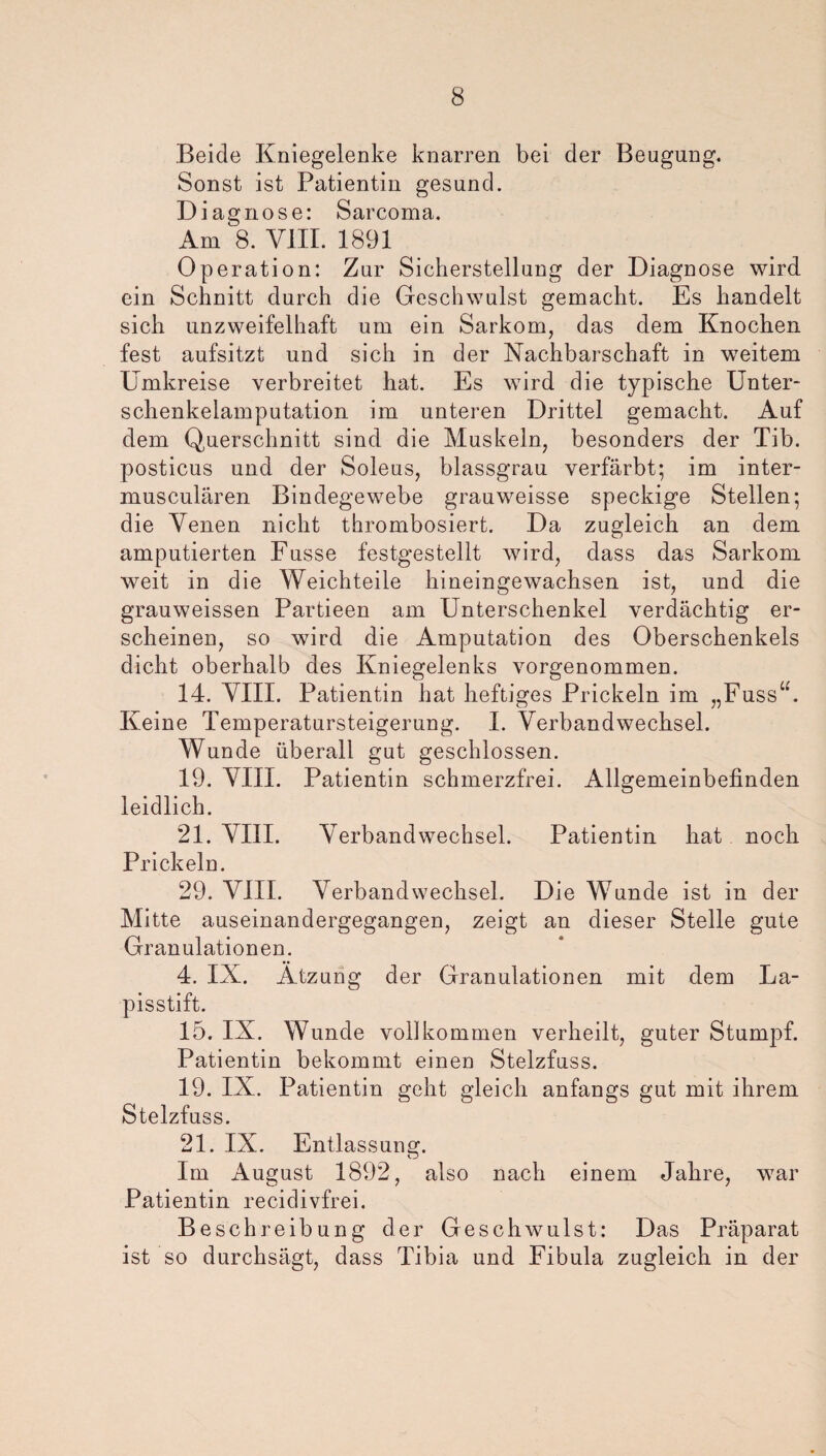 Beide Kniegelenke knarren bei der Beugung. Sonst ist Patientin gesund. Diagnose: Sarcoma. Am 8. VIII. 1891 Operation: Zur Sicherstellung der Diagnose wird ein Schnitt durch die Geschwulst gemacht. Es handelt sich unzweifelhaft um ein Sarkom, das dem Knochen fest aufsitzt und sich in der Nachbarschaft in weitem Umkreise verbreitet hat. Es wird die typische Unter¬ schenkelamputation im unteren Drittel gemacht. Auf dem Querschnitt sind die Muskeln, besonders der Tib. posticus und der Soleus, blassgrau verfärbt; im inter- musculären Bindegewebe grauweisse speckige Stellen; die Venen nicht thrombosiert. Da zugleich an dem amputierten Fusse festgestellt wird, dass das Sarkom weit in die Weichteile hineingewachsen ist, und die grauweissen Partieen am Unterschenkel verdächtig er¬ scheinen, so wird die Amputation des Oberschenkels dicht oberhalb des Kniegelenks vorgenommen. 14. VIII. Patientin hat heftiges Prickeln im „Fuss“. Keine Temperatursteigerung. I. Verbandwechsel. Wunde überall gut geschlossen. 19. VIII. Patientin schmerzfrei. Allgemeinbefinden leidlich. 21. VIII. Verbandwechsel. Patientin hat noch Prickeln. 29. VIII. Verbandwechsel. Die Wunde ist in der Mitte auseinandergegangen, zeigt an dieser Stelle gute Granulationen. 4. IX. Atzung der Granulationen mit dem La¬ pisstift. 15. IX. Wunde vollkommen verheilt, guter Stumpf. Patientin bekommt einen Stelzfuss. 19. IX. Patientin geht gleich anfangs gut mit ihrem Stelzfuss. 21. IX. Entlassung. Im August 1892, also nach einem Jahre, war Patientin recidivfrei. Beschreibung der Geschwulst: Das Präparat ist so durchsägt, dass Tibia und Fibula zugleich in der