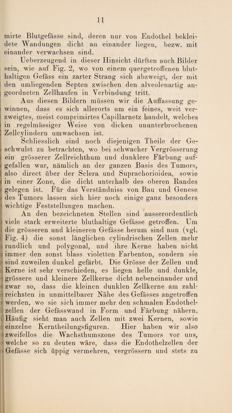 mirte Blutgefässe sind, deren nur von Endothel beklei¬ dete Wandungen dicht an einander liegen, bezw. mit einander verwachsen sind. Ueberzeugend in dieser Hinsicht dürften auch Bilder sein, wie auf Fig. 2, wo von einem quergetroffenen blut¬ haltigen Gefäss ein zarter Strang sich abzweigt, der mit den umliegenden Septen zwischen den alveolenartig an¬ geordneten Zellhaufen in Verbindung tritt. Aus diesen Bildern müssen wir die Auffassung ge¬ winnen, dass es sich allerorts um ein feines, weit ver¬ zweigtes, meist comprimirtes Capillarnetz handelt, welches in regelmässiger Weise von dicken ununterbrochenen Zellcylindern umwachsen ist. Schliesslich sind noch diejenigen Theile der Ge¬ schwulst zu betrachten, wo bei schwacher Vergrösserung i ein grösserer Zellreichthum und dunklere Färbung auf- I gefallen war, nämlich an der ganzen Basis des Tumors, ; also direct über der Sclera und Suprachorioidea, sowie | in einer Zone, die dicht unterhalb des oberen Bandes : gelegen ist. Für das Verständniss von Bau und Genese )j des Tumors lassen sich hier noch einige ganz besonders f) wichtige Feststellungen machen. An den bezeichneten Stellen sind ausserordentlich j viele stark erweiterte bluthaltige Gefässe getroffen. Um s die grösseren und kleineren Gefässe herum sind nun (vgl. ij Fig. 4) die sonst länglichen cylindrischen Zellen mehr ; rundlich und polygonal, und ihre Kerne haben nicht i immer den sonst blass violetten Farbenton, sondern sie [ sind zuweilen dunkel gefärbt. Die Grösse der Zellen und Kerne ist sehr verschieden, es liegen helle und dunkle, i grössere und kleinere Zellkerne dicht nebeneinander und ! zwar so, dass die kleinen dunklen Zellkerne am zahl¬ reichsten in unmittelbarer Nähe des Gefässes angetroffen i werden, wo sie sich immer mehr den schmalen Endothel¬ zellen der Gefässwand in Form und Färbung nähern. Häufig sieht man auch Zellen mit zwei Kernen, sowie einzelne Kerntheilungsfiguren. Hier haben wir also ^zweifellos die Wachsthumszone des Tumors vor uns, welche so zu deuten wäre, dass die Endothelzellen der Gefässe sich üppig vermehren, vergrössern und stets zu