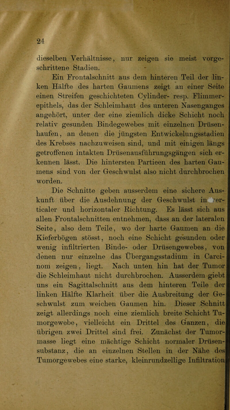 dieselben Verhältnisse, nur zeigen sie meist vorge¬ schrittene Stadien. Ein Frontalschnitt aus dem hinteren Teil der lin¬ ken Hälfte des harten Gaumens zeigt an einer Seite einen Streifen geschichteten Cylinder- resp. Flimmer¬ epithels, das der Schleimhaut des unteren Nasenganges angehört, unter der eine ziemlich dicke Schicht noch relativ gesunden Bindegewebes mit einzelnen Drüsen¬ haufen , an denen die jüngsten Entwickelungsstadien des Krebses nachzuweisen sind, und mit einigen längs getroffenen intakten Drüsenausführungsgängen sich er¬ kennen lässt. Die hintersten Partieen des harten Gau- \ mens sind von der Geschwulst also nicht durchbrochen worden. Die Schnitte geben ausserdem eine sichere Aus¬ kunft über die Ausdehnung der Geschwulst in rer- ticaler und horizontaler Dichtung. Es lässt sich aus allen Frontalschnitten entnehmen, dass an der lateralen Seite, also dem Teile, wo der harte Gaumen an die Kieferbögen stösst, noch eine Schicht gesunden oder wenig infiltrierten Binde- oder Drüsengewebes, von denen nur einzelne das Übergangsstadium in Carci- nom zeigen, liegt. Nach unten hin hat der Tumorj die Schleimhaut nicht durchbrochen. Ausserdem giebt uns ein Sagittalschnitt aus dem hinteren Teile der linken Hälfte Klarheit über die Ausbreitung der Ge¬ schwulst zum weichen Gaumen hin. Dieser Schnitt zeigt allerdings noch eine ziemlich breite Schicht Tu¬ morgewebe, vielleicht ein Drittel des Ganzen, die übrigen zwei Drittel sind frei. Zunächst der Tumor¬ masse liegt eine mächtige Schicht normaler Drüsen¬ substanz , die an einzelnen Stellen in der Nähe desl Tumorgewebes eine starke, kleinrundzellige Infiltration!