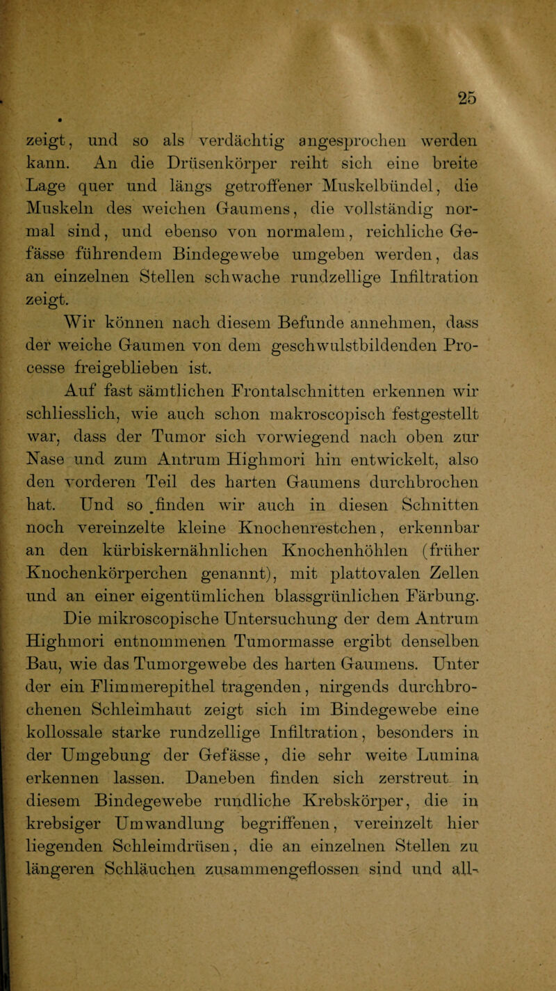 zeigt, und so als verdächtig angesprochen werden kann. An die Drüsenkörper reiht sich eine breite Lage quer und längs getroffener Muskelbündel, die Muskeln des weichen Gaumens, die vollständig nor¬ mal sind, und ebenso von normalem, reichliche Ge- fässe führendem Bindegewebe umgeben werden, das an einzelnen Stellen schwache rundzeilige Infiltration zeigt. Wir können nach diesem Befunde annehmen, dass der weiche Gaumen von dem geschwulstbildenden Pro- cesse freigeblieben ist. Auf fast sämtlichen Frontalschnitten erkennen wir schliesslich, wie auch schon makroscopisch festgestellt war, dass der Tumor sich vorwiegend nach oben zur Nase und zum Antrum Highmori hin entwickelt, also den vorderen Teil des harten Gaumens durchbrochen hat. Und so finden wir auch in diesen Schnitten noch vereinzelte kleine Knochenrestehen, erkennbar an den kürbiskernähnlichen Knochenhöhlen (früher Knochenkörperchen genannt), mit plattovalen Zellen und an einer eigentümlichen blassgrünlichen Färbung. Die mikroscopische Untersuchung der dem Antrum Highmori entnommenen Tumormasse ergibt denselben Bau, wie das Tumorgewebe des harten Gaumens. Unter der ein Flimmerepithel tragenden, nirgends durchbro¬ chenen Schleimhaut zeigt sich im Bindegewebe eine kollossale starke rundzeilige Infiltration, besonders in der Umgebung der Gefässe, die sehr weite Lumina erkennen lassen. Daneben finden sich zerstreut in diesem Bindegewebe rundliche Krebskörper, die in krebsiger Umwandlung begriffenen, vereinzelt hier liegenden Schleimdrüsen, die an einzelnen Stellen zu längeren Schläuchen zusammengeflossen sind und all-