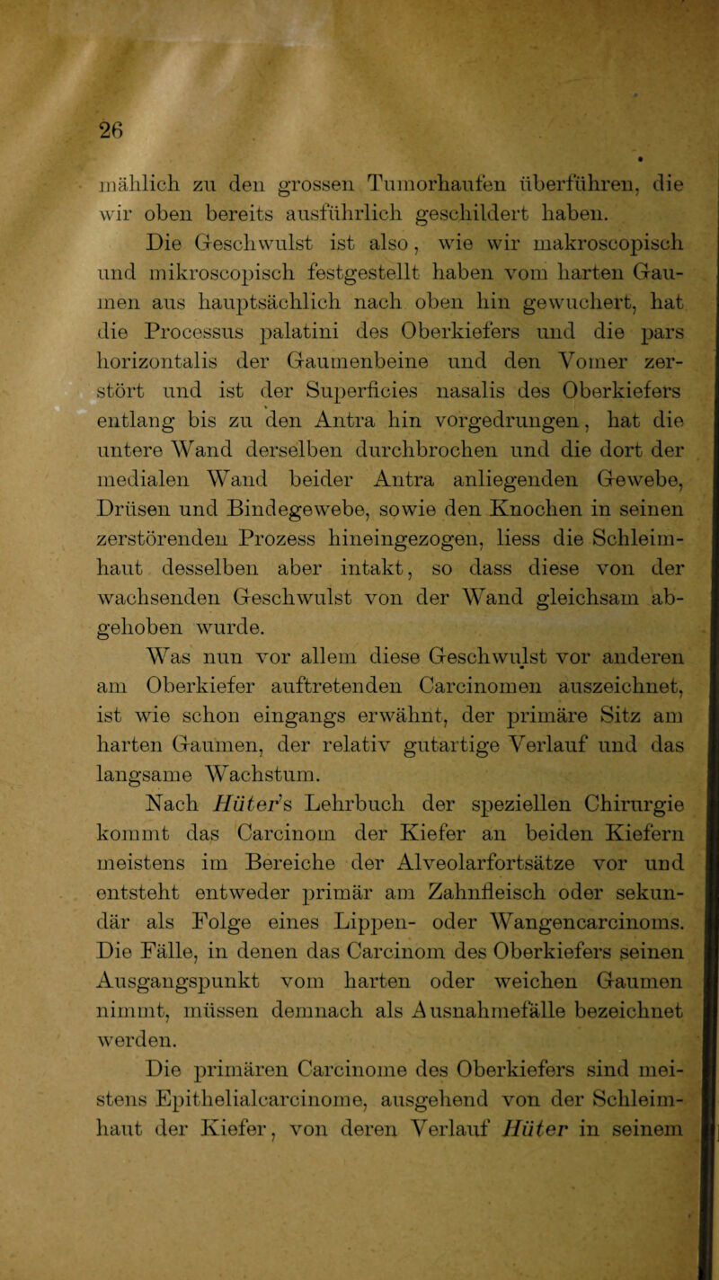 mählich zu den grossen Tumorhaufen überführen, die wir oben bereits ausführlich geschildert haben. Die Geschwulst ist also, wie wir makroscopisch und mikroscopisch festgestellt haben vom harten Gau¬ men aus hauptsächlich nach oben hin gewuchert, hat die Processus palatini des Oberkiefers und die pars horizontalis der Gaumenbeine und den Yorner zer¬ stört und ist der Superficies nasalis des Oberkiefers entlang bis zu den Antra hin vorgedrungen, hat die untere Wand derselben durchbrochen und die dort der medialen Wand beider Antra anliegenden Gewebe, Drüsen und Bindegewebe, sowie den Knochen in seinen zerstörenden Prozess hineingezogen, liess die Schleim¬ haut desselben aber intakt, so dass diese von der wachsenden Geschwulst von der Wand gleichsam ab¬ gehoben wurde. Was nun vor allem diese Geschwulst vor anderen am Oberkiefer auftretenden Carcinomen auszeichnet, ist wie schon eingangs erwähnt, der primäre Sitz am harten Gaumen, der relativ gutartige Verlauf und das langsame Wachstum. Nach Hüter’s Lehrbuch der speziellen Chirurgie kommt das Carcinom der Kiefer an beiden Kiefern meistens im Bereiche der Alveolarfortsätze vor und entsteht entweder primär am Zahnfleisch oder sekun¬ där als Folge eines Lippen- oder Wangencarcinoms. Die Fälle, in denen das Carcinom des Oberkiefers seinen Ausgangspunkt vom harten oder weichen Gaumen nimmt, müssen demnach als Ausnahmefälle bezeichnet werden. Die primären Carcinome des Oberkiefers sind mei¬ stens Epithelialcarcinome, ausgehend von der Schleim¬ haut der Kiefer, von deren Verlauf Hüter in seinem