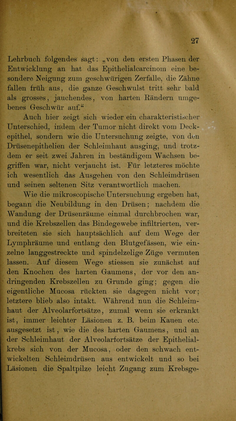 4 Lehrbuch folgendes sagt: „von den ersten Phasen der Entwicklung an hat das Epithelialcarcinom eine be¬ sondere Neigung zum geschwiirigen Zerfalle, die Zähne fallen früh aus, die ganze Geschwulst tritt sehr bald als grosses, jauchendes, von harten Rändern umge¬ benes Geschwür auf.“ Auch hier zeigt sich wieder ein charakteristischer Unterschied, indem der Tumor nicht direkt vom Deck¬ epithel, sondern wie die Untersuchung zeigte, von den Drüsenepithelien der Schleimhaut ausging, und trotz¬ dem er seit zwei Jahren in beständigem Wachsen be¬ griffen war, nicht verjaucht ist. Für letzteres möchte ich wesentlich das Ausgehen von den Schleimdrüsen und seinen seltenen Sitz verantwortlich machen. Wie die mikroscopische Untersuchung ergeben hat, begann die Neubildung in den Drüsen; nachdem die Wandung der Drüsenräume einmal durchbrochen war, und die Krebszellen das Bindegewebe infiltrierten, ver¬ breiteten sie sich hauptsächlich auf dem Wege der Lymphräume und entlang den Blutgefässen, wie ein¬ zelne langgestreckte und spindelzelige Züge vermuten lassen. Auf diesem Wege stiessen sie zunächst auf den Knochen des harten Gaumens, der vor den an¬ dringenden Krebszellen zu Grunde ging; gegen die eigentliche Mucosa rückten sie dagegen nicht vor; letztere blieb also intakt. Während nun die Schleim¬ haut der Alveolarfortsätze, zumal wenn sie erkrankt ist, immer leichter Läsionen z. B. beim Kauen etc. ausgesetzt ist, wie die des harten Gaumens, und an der Schleimhaut der Alveolarfortsätze der Epithelial¬ krebs sich von der Mucosa, oder den schwach ent¬ wickelten Schleimdrüsen aus entwickelt und so bei Läsionen die Spaltpilze leicht Zugang zum Krebsge-