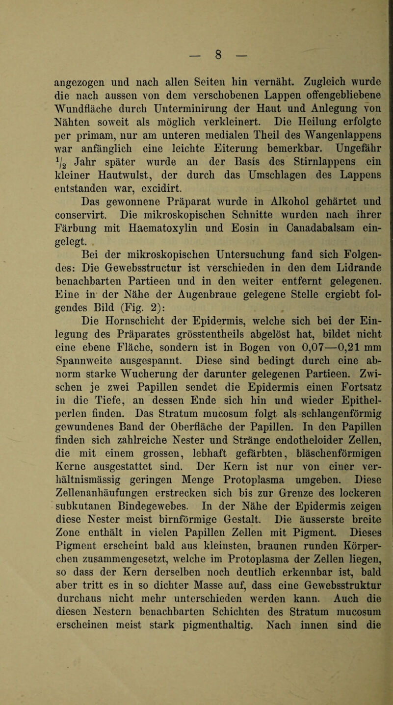 angezogen und nach allen Seiten hin vernäht. Zugleich wurde die nach aussen von dem verschobenen Lappen offengebliebene Wundfläche durch Unterminirung der Haut und Anlegung von Nähten soweit als möglich verkleinert. Die Heilung erfolgte per primam, nur am unteren medialen Theil des Wangenlappens war anfänglich eine leichte Eiterung bemerkbar. Ungefähr Jahr später wurde an der Basis des Stirnlappens ein kleiner Hautwulst, der durch das Umschlagen des Lappens entstanden war, excidirt. Das gewonnene Präparat wurde in Alkohol gehärtet und conservirt. Die mikroskopischen Schnitte wurden nach ihrer Färbung mit Haematoxylin und Eosin in Canadabalsam ein¬ gelegt. . Bei der mikroskopischen Untersuchung fand sich Folgen¬ des: Die Gewebsstructur ist verschieden in den dem Lidrande benachbarten Partieen und in den weiter entfernt gelegenen. Eine im der Nähe der Augenbraue gelegene Stelle ergiebt fol¬ gendes Bild (Fig. 2): Die Hornschicht der Epidermis, welche sich bei der Ein¬ legung des Präparates grösstentheils abgelöst hat, bildet nicht eine ebene Fläche, sondern ist in Bogen von 0,07—0,21 mm Spannweite ausgespannt. Diese sind bedingt durch eine ab¬ norm starke Wucherung der darunter gelegenen Partieen. Zwi¬ schen je zwei Papillen sendet die Epidermis einen Fortsatz in die Tiefe, an dessen Ende sich hin und wieder Epithel¬ perlen finden. Das Stratum mucosum folgt als schlangenförmig gewundenes Band der Oberfläche der Papillen. In den Papillen finden sich zahlreiche Nester und Stränge endotheloider Zellen, die mit einem grossen, lebhaft gefärbten, bläschenförmigen Kerne ausgestattet sind. Der Kern ist nur von einer ver¬ hältnismässig geringen Menge Protoplasma umgeben. Diese Zellenanhäufungen erstrecken sich bis zur Grenze des lockeren subkutanen Bindegewebes. In der Nähe der Epidermis zeigen diese Nester meist bimförmige Gestalt. Die äusserste breite 1 Zone enthält in vielen Papillen Zellen mit Pigment. Dieses Pigment erscheint bald aus kleinsten, braunen runden Körper¬ chen zusammengesetzt, welche im Protoplasma der Zellen liegen, so dass der Kern derselben noch deutlich erkennbar ist, bald aber tritt es in so dichter Masse auf, dass eine Gewebsstruktur durchaus nicht mehr unterschieden werden kann. Auch die diesen Nestern benachbarten Schichten des Stratum mucosum erscheinen meist stark pigmenthaltig. Nach innen sind die