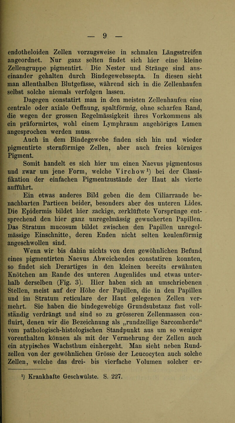 endotheloiden Zellen vorzugsweise in schmalen Längsstreifen angeordnet. Nur ganz selten findet sich hier eine kleine Zellengruppe pigmentirt. Die Nester und Stränge sind aus¬ einander gehalten durch Bindegewebssepta. In diesen sieht man allenthalben Blutgefässe, während sich in die Zellenhaufen selbst solche niemals verfolgen lassen. Dagegen constatirt man in den meisten Zellenhaufeii eine centrale oder axiale Oeffnung, spaltförmig, ohne scharfen Rand, die wegen der grossen Regelmässigkeit ihres Vorkommens als ein präformirtes, wohl einem Lymphraum angehöriges Lumen angesprochen werden muss. Auch in dem Bindegewebe finden sich hin und wieder pigmentirte sternförmige Zellen, aber auch freies körniges Pigment. Somit handelt es sich hier um einen Naevus pigmentosus und zwar um jene Form, welche Virchow^) bei der Classi- fikation der einfachen Pigmentzustände der Haut als vierte aufführt. Ein etwas anderes Bild geben die dem Ciliarrande be¬ nachbarten Partieen beider, besonders aber des unteren Lides. Die Epidermis bildet hier zackige, zerklüftete Vorsprünge ent¬ sprechend den hier ganz unregelmässig gewucherten Papillen. Das Stratum mucosum bildet zwischen den Papillen unregel¬ mässige Einschnitte, deren Enden nicht selten keulenförmig angeschwollen sind. ^Venn wir bis dahin nichts von dem gewöhnlichen Befund eines pigmentirten Naevus Abweichendes constatiren konnten, so findet sich Derartiges in den kleinen bereits erwähnten Knötchen am Rande des unteren Augenlides und etwas unter¬ halb derselben (Fig. 3). Hier haben sich an umschriebenen Stellen, meist auf der Höhe der Papillen, die in den Papillen und im Stratum reticulare der Haut gelegenen Zellen ver¬ mehrt. Sie haben die bindegew^ebige Grundsubstanz fast voll¬ ständig verdrängt und sind so zu grösseren Zellenmassen con- fluirt, denen wir die Bezeichnung als „rundzellige Sarcomherde“ vom pathologisch-histologischen Standpunkt aus um so weniger vorenthalten können als mit der Vermehrung der Zellen auch ein atypisches Wachsthum einhergeht. Man sieht neben Rund- zellen von der gewöhnlichen Grösse der Leucocyten auch solche Zellen, welche das drei- bis vierfache Volumen solcher er- Krankhafte Geschwülste. S. 227.