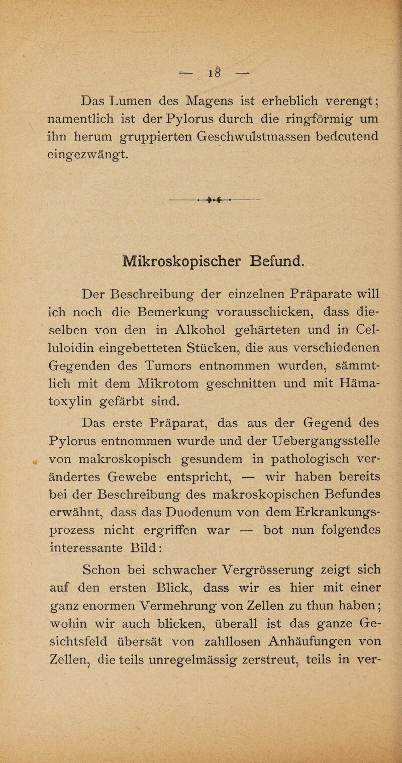 Das Lumen des Magens ist erheblich verengt; namentlich ist der Pylorus durch die ringförmig um ihn herum gruppierten Geschwulstmassen bedeutend eingezwängt. »—#-«4~ Mikroskopischer Befund. Der Beschreibung der einzelnen Präparate will ich noch die Bemerkung vorausschicken, dass die¬ selben von den in Alkohol gehärteten und in Cel¬ luloidin eingebetteten Stücken, die aus verschiedenen Gegenden des Tumors entnommen wurden, sämmt- lich mit dem Mikrotom geschnitten und mit Häma- toxylin gefärbt sind. Das erste Präparat, das aus der Gegend des Pylorus entnommen wurde und der Uebergangsstelle von makroskopisch gesundem in pathologisch ver¬ ändertes Gewebe entspricht, — wir haben bereits bei der Beschreibung des makroskopischen Befundes erwähnt, dass das Duodenum von dem Erkrankungs¬ prozess nicht ergriffen war — bot nun folgendes interessante Bild: Schon bei schwacher Vergrösserung zeigt sich auf den ersten Blick, dass wir es hier mit einer ganz enormen Vermehrung von Zellen zu thun haben; wohin wir auch blicken, überall ist das ganze Ge¬ sichtsfeld übersät von zahllosen Anhäufungen von Zellen, die teils unregelmässig zerstreut, teils in ver-