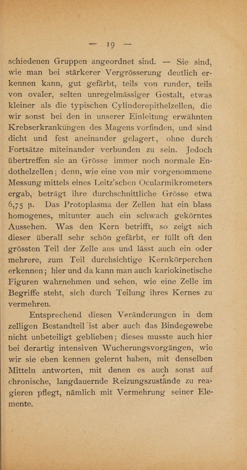 *9 schiedenen Gruppen angeordnet sind. — Sie sind, wie man bei stärkerer Vergrösserung deutlich er¬ kennen kann, gut gefärbt, teils von runder, teils von ovaler, selten unregelmässiger Gestalt, etwas kleiner als die typischen Cylinderepithelzellen, die wir sonst bei den in unserer Einleitung erwähnten Krebserkrankungen des Magens vorfinden, und sind dicht und fest aneinander gelagert, ohne durch Fortsätze miteinander verbunden zu sein. Jedoch übertreffen sie an Grösse immer noch normale En¬ dothelzellen ; denn, wie eine von mir vorg*enommene Messung mittels eines Leitz’schen Ocularmikrometers ergab, beträgt ihre durchschnittliche Grösse etwa 6,75 E Das Protoplasma der Zellen hat ein blass homogenes, mitunter auch ein schwach gekörntes Aussehen. Was den Kern betrifft, so zeigt sich dieser überall sehr schön gefärbt, er füllt oft den grössten Teil der Zelle aus und lässt auch ein oder mehrere, zum Teil durchsichtige Kernkörperchen erkennen j hier und da kann man auch kariokinetische Figuren wahrnehmen und sehen, wie eine Zelle im Begriffe steht, sich durch Teilung* ihres Kernes zu vermehren. Entsprechend diesen Veränderungen in dem zelligen Bestandteil ist aber auch das Bindegewebe nicht unbeteiligt geblieben; dieses musste auch hier bei derartig intensiven Wucherungsvorgängen, wie wir sie eben kennen gelernt haben, mit denselben Mitteln antworten, mit denen es auch sonst auf chronische, langdauernde Reizungszustände zu rea¬ gieren pflegt, nämlich mit Vermehrung seiner Ele¬ mente.