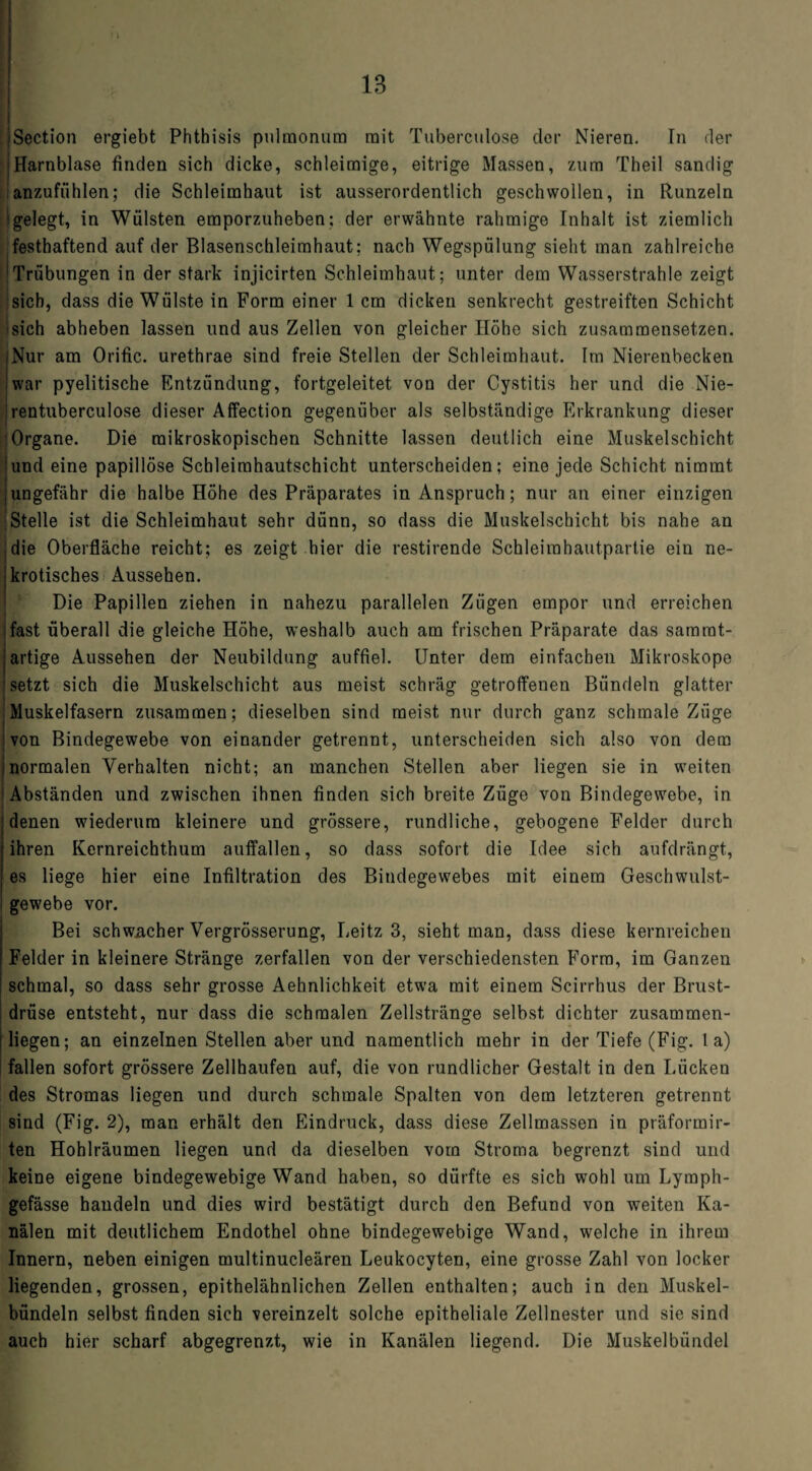 jSection ergiebt Phthisis pulmonum mit Tuberculose der Nieren. In der |Harnblase finden sich dicke, schleimige, eitrige Massen, zum Theil sandig anzufühlen; die Schleimhaut ist ausserordentlich geschwollen, in Runzeln :gelegt, in Wülsten emporzuheben; der erwähnte rahmige Inhalt ist ziemlich festhaftend auf der Blasenschleimhaut: nach Wegspülung sieht man zahlreiche Trübungen in der stark injicirten Schleimhaut; unter dem Wasserstrahle zeigt sich, dass die Wülste in Form einer 1 cm dicken senkrecht gestreiften Schicht sich abheben lassen und aus Zellen von gleicher Höhe sich zusammensetzen. iNur am Orific. urethrae sind freie Stellen der Schleimhaut. Im Nierenbecken iwar pyelitische Entzündung, fortgeleitet von der Cystitis her und die Nie- rentuberculose dieser Affection gegenüber als selbständige Erkrankung dieser Organe. Die mikroskopischen Schnitte lassen deutlich eine Muskelschicht und eine papillöse Scbleimhautschicht unterscheiden; eine jede Schicht nimmt ungefähr die halbe Höhe des Präparates in Anspruch; nur an einer einzigen Stelle ist die Schleimhaut sehr dünn, so dass die Muskelschicht bis nahe an ,die Oberfläche reicht; es zeigt hier die restirende Schleirahautpartie ein ne¬ krotisches Aussehen. Die Papillen ziehen in nahezu parallelen Zügen empor und erreichen fast überall die gleiche Höhe, weshalb auch am frischen Präparate das samrat- artige Aussehen der Neubildung auffiel. Unter dem einfachen Mikroskope setzt sich die Muskelschicht aus meist schräg getroffenen Bündeln glatter Muskelfasern zusammen; dieselben sind meist nur durch ganz schmale Züge von Bindegewebe von einander getrennt, unterscheiden sich also von dem normalen Verhalten nicht; an manchen Stellen aber liegen sie in weiten Abständen und zwischen ihnen finden sich breite Züge von Bindegewebe, in denen wiederum kleinere und grössere, rundliche, gebogene Felder durch ihren Kernreichthum auffallen, so dass sofort die Idee sich aufdrängt, es liege hier eine Infiltration des Bindegewebes mit einem Geschwulst¬ gewebe vor. Bei schwacher Vergrösserung, Leitz 3, sieht man, dass diese kernreichen Felder in kleinere Stränge zerfallen von der verschiedensten Form, im Ganzen schmal, so dass sehr grosse Aehnlichkeit etwa mit einem Scirrhus der Brust¬ drüse entsteht, nur dass die schmalen Zellstränge selbst dichter zusammen¬ liegen; an einzelnen Stellen aber und namentlich mehr in der Tiefe (Fig. 1 a) fallen sofort grössere Zellhaufen auf, die von rundlicher Gestalt in den Lücken des Stromas liegen und durch schmale Spalten von dem letzteren getrennt sind (Fig. 2), man erhält den Eindruck, dass diese Zellmassen in präformir- ten Hohlräumen liegen und da dieselben vom Stroma begrenzt sind und keine eigene bindegewebige Wand haben, so dürfte es sich wohl um Lymph- gefässe handeln und dies wird bestätigt durch den Befund von weiten Ka¬ nälen mit deutlichem Endothel ohne bindegewebige Wand, welche in ihrem Innern, neben einigen multinucleären Leukocyten, eine grosse Zahl von locker liegenden, grossen, epithelähnlichen Zellen enthalten; auch in den Muskel¬ bündeln selbst finden sich vereinzelt solche epitheliale Zellnester und sie sind auch hier scharf abgegrenzt, wie in Kanälen liegend. Die Muskelbündel