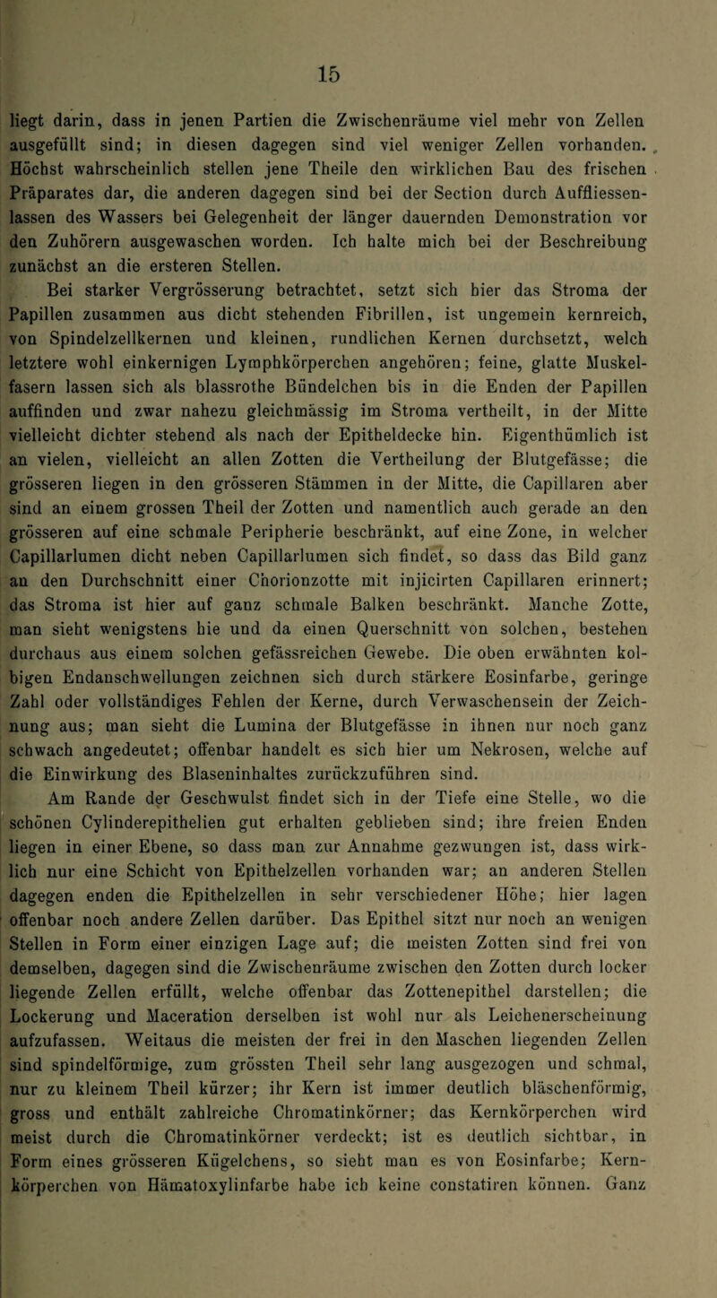 liegt darin, dass in jenen Partien die Zwischenräume viel mehr von Zellen ausgefüllt sind; in diesen dagegen sind viel weniger Zellen vorhanden. , Höchst wahrscheinlich stellen jene Theile den wirklichen Bau des frischen Präparates dar, die anderen dagegen sind bei der Section durch Auffliessen- lassen des Wassers bei Gelegenheit der länger dauernden Demonstration vor den Zuhörern ausgewaschen worden. Ich halte mich bei der Beschreibung zunächst an die ersteren Stellen. Bei starker Vergrösserung betrachtet, setzt sich hier das Stroma der Papillen zusammen aus dicht stehenden Fibrillen, ist ungemein kernreich, von Spindelzellkernen und kleinen, rundlichen Kernen durchsetzt, welch letztere wohl einkernigen Lymphkörperchen angehören; feine, glatte Muskel¬ fasern lassen sich als blassrothe Bündelchen bis in die Enden der Papillen auffinden und zwar nahezu gleichmässig im Stroma vertheilt, in der Mitte vielleicht dichter stehend als nach der Epitheldecke hin. Eigenthümlich ist an vielen, vielleicht an allen Zotten die Vertheilung der Blutgefässe; die grösseren liegen in den grösseren Stämmen in der Mitte, die Capillaren aber sind an einem grossen Theil der Zotten und namentlich auch gerade an den grösseren auf eine schmale Peripherie beschränkt, auf eine Zone, in welcher Capillarlumen dicht neben Capillarlumen sich findet, so dass das Bild ganz an den Durchschnitt einer Chorionzotte mit injicirten Capillaren erinnert; das Stroma ist hier auf ganz schmale Balken beschränkt. Manche Zotte, man sieht wenigstens hie und da einen Querschnitt von solchen, bestehen durchaus aus einem solchen gefässreichen Gewebe. Die oben erwähnten kol- bigen Endanschwellungen zeichnen sich durch stärkere Eosinfarbe, geringe Zahl oder vollständiges Fehlen der Kerne, durch Verwaschensein der Zeich¬ nung aus; man sieht die Lumina der Blutgefässe in ihnen nur noch ganz schwach angedeutet; offenbar handelt es sich hier um Nekrosen, welche auf die Einwirkung des Blaseninhaltes zuriickzuführen sind. Am Rande der Geschwulst findet sich in der Tiefe eine Stelle, wo die schönen Cylinderepithelien gut erhalten geblieben sind; ihre freien Enden liegen in einer Ebene, so dass man zur Annahme gezwungen ist, dass wirk¬ lich nur eine Schicht von Epithelzellen vorhanden war; an anderen Stellen dagegen enden die Epithelzellen in sehr verschiedener Höhe; hier lagen offenbar noch andere Zellen darüber. Das Epithel sitzt nur noch an wenigen Stellen in Form einer einzigen Lage auf; die meisten Zotten sind frei von demselben, dagegen sind die Zwdschenräume zwischen den Zotten durch locker liegende Zellen erfüllt, welche offenbar das Zottenepithel darstellen; die Lockerung und Maceration derselben ist wohl nur als Leichenerscheinung aufzufassen. Weitaus die meisten der frei in den Maschen liegenden Zellen sind spindelförmige, zum grössten Theil sehr lang ausgezogen und schmal, nur zu kleinem Theil kürzer; ihr Kern ist immer deutlich bläschenförmig, gross und enthält zahlreiche Chromatinkörner; das Kernkörperchen wird meist durch die Chromatinkörner verdeckt; ist es deutlich sichtbar, in Form eines grösseren Kügelchens, so sieht man es von Eosinfarbe; Kern¬ körperchen von Hämatoxylinfarbe habe ich keine constatiren können. Ganz