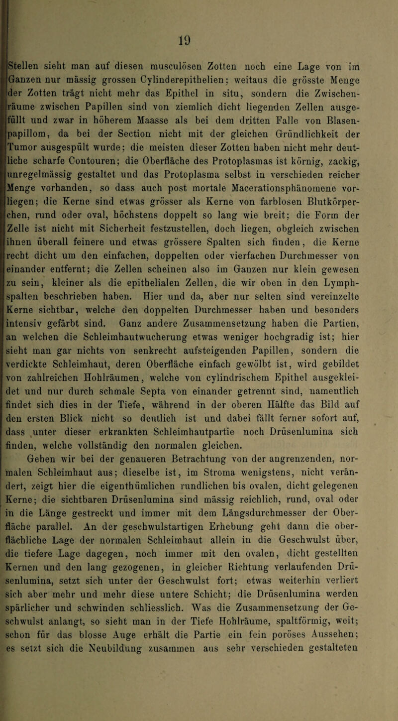 Stellen sieht man auf diesen musculösen Zotten noch eine Lage von im Ganzen nur massig grossen Cylinderepithelien; weitaus die grösste Menge der Zotten trägt nicht mehr das Epithel in situ, sondern die Zwischen¬ räume zwischen Papillen sind von ziemlich dicht liegenden Zellen ausge¬ füllt und zwar in höherem Maasse als bei dem dritten Falle von Blasen¬ papillom, da bei der Section nicht mit der gleichen Gründlichkeit der Tumor ausgespült wurde; die meisten dieser Zotten haben nicht mehr deut¬ liche scharfe Contouren; die Oberfläche des Protoplasmas ist körnig, zackig, unregelmässig gestaltet und das Protoplasma selbst in verschieden reicher Menge vorhanden, so dass auch post mortale Macerationsphänomene vor¬ liegen; die Kerne sind etwas grösser als Kerne von farblosen Blutkörper¬ chen, rund oder oval, höchstens doppelt so lang wie breit; die Form der Zelle ist nicht mit Sicherheit festzustellen, doch liegen, obgleich zwischen ihnen überall feinere und etwas grössere Spalten sich finden, die Kerne recht dicht um den einfachen, doppelten oder vierfachen Durchmesser von einander entfernt; die Zellen scheinen also im Ganzen nur klein gewesen zu sein, kleiner als die epithelialen Zellen, die wir oben in den Lymph¬ spalten beschrieben haben. Hier und da, aber nur selten sind vereinzelte Kerne sichtbar, welche den doppelten Durchmesser haben und besonders intensiv gefärbt sind. Ganz andere Zusammensetzung haben die Partien, an welchen die Schleimhautwucherung etwas weniger hochgradig ist; hier sieht man gar nichts von senkrecht aufsteigenden Papillen, sondern die verdickte Schleimhaut, deren Oberfläche einfach gewölbt ist, wird gebildet von zahlreichen Hohlräumen, welche von cylindrischem Epithel ausgeklei¬ det und nur durch schmale Septa von einander getrennt sind, namentlich findet sich dies in der Tiefe, während in der oberen Hälfte das Bild auf den ersten Blick nicht so deutlich ist und dabei fällt ferner sofort auf, dass unter dieser erkrankten Schleimhautpartie noch Drüsenlumina sich finden, welche vollständig den normalen gleichen. Gehen wir bei der genaueren Betrachtung von der angrenzenden, nor¬ malen Schleimhaut aus; dieselbe ist, im Stroma wenigstens, nicht verän¬ dert, zeigt hier die eigenthiimlichen rundlichen bis ovalen, dicht gelegenen Kerne; die sichtbaren Drüsenlumina sind mässig reichlich, rund, oval oder in die Länge gestreckt und immer mit dem Längsdurchmesser der Ober¬ fläche parallel. An der geschwulstartigen Erhebung geht dann die ober¬ flächliche Lage der normalen Schleimhaut allein in die Geschwulst über, die tiefere Lage dagegen, noch immer mit den ovalen, dicht gestellten Kernen und den lang gezogenen, in gleicher Richtung verlaufenden Drü¬ senlumina, setzt sich unter der Geschwulst fort; etwas weiterhin verliert sich aber mehr und mehr diese untere Schicht; die Drüsenlumina werden spärlicher und schwinden schliesslich. Was die Zusammensetzung der Ge¬ schwulst anlangt, so sieht man in der Tiefe Hohlräume, spaltförmig, weit; schon für das blosse Auge erhält die Partie ein fein poröses Aussehen; es setzt sich die Neubildung zusammen aus sehr verschieden gestalteten
