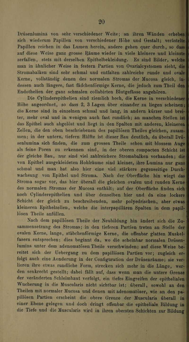 Drüsenlumina von sehr verschiedener Weite; an ihren Wänden erheben1 sich wiederum Papillen von verschiedener Höhe und Gestalt; verästelte Papillen reichen in das Lumen herein, andere gehen quer durch, so dass auf diese Weise ganz grosse Räume wieder in viele kleinere und kleinste zerfallen, stets mit derselben Epithelbekleidung. Es sind Bilder, welche man in ähnlicher Weise in festem Partien von Ovarialcystomen sieht, die Stromabalken sind sehr schmal und entfalten zahlreiche runde und ovale Kerne, vollständig denen des normalen Stromas der Mucosa gleich, in¬ dessen auch längere, fast fädchenförmige Kerne, die jedoch zum Theil den Endothelien der ganz schmalen collabirten Blutgefässe angehören. Die Cylinderepithelien sind ziemlich hoch, die Kerne in verschiedener Höhe angeordnet, so dass 2, 3 Lagen über einander zu liegen scheinen; die Kerne sind in einzelnen schmal und lang, in andern kürzer und brei¬ ter, mehr oval und in wenigen auch fast rundlich; an manchen Stellen ist das Epithel auch abgelöst und liegt in den Spalten mit anderen, kleineren Zellen, die den oben beschriebenen des papillösen Theiles gleichen, zusam¬ men; in der untern, tiefem Hälfte ist dieser Bau deutlich, da überall Drü¬ senlumina sich finden, die zum grossen Theile schon mit blossem Auge als feine Poren zu erkennen sind, in der oberen compacten Schicht ist der gleiche Bau, nur sind viel zahlreichere Stromabalken vorhanden; die von Epithel ausgekleideten Hohlräume sind kleiner, ihre Lumina nur ganz schmal und man hat also hier eine viel stärkere gegenseitige Durch¬ wachsung von Epithel und Stroma. Nach der Oberfläche hin wiegt das Stroma sogar vor, das hier überall die gleichen ovalen und runden Kerne des normalen Stromas der Mucosa enthält; auf der Oberfläche finden sich noch Cylinderepithelien und über denselben hier und da eine lockere Schicht der gleich zu beschreibenden, mehr polyedrischen, aber etwas kleineren Epithelzellen, welche die interpapillären Spalten in dem papil¬ lösen Theile anfüllen. Nach dem papillösen Theile der Neubildung hin ändert sich die Zu¬ sammensetzung des Stromas; in den tieferen Partien treten an Stelle der ovalen Kerne, lange, stäbchenförmige Kerne, die offenbar glatten Muskel¬ fasern entsprechen; dies beginnt da, wo die scheinbar normalen Drüsen¬ lumina unter dem adenomatösen Theile verschwinden; auf diese Weise be¬ reitet sich der Uebergang zu dem papillösen Partien vor; zugleich er¬ folgt auch eine Aenderung in der Configuration der Drüsenräume; sie ver¬ lieren ihre etwas rundliche Form, strecken sich mehr in die Länge, wer¬ den senkrecht gestellt; dabei fällt auf, dass wenn man die untere Grenze der veränderten Schleimhaut verfolgt, ein tiefes Eingreifen der epithelialen Wucherung in die Muscularis nicht sichtbar ist; überall, sowohl an den Theilen mit normaler Mucosa und denen mit adenomatöser, wie an den pa¬ pillösen Partien erscheint die obere Grenze der Muscularis überall in einer Ebene gelegen und doch dringt offenbar die epitheliale Bildung in die Tiefe und die Muscularis wird in ihren obersten Schichten zur Bildung d