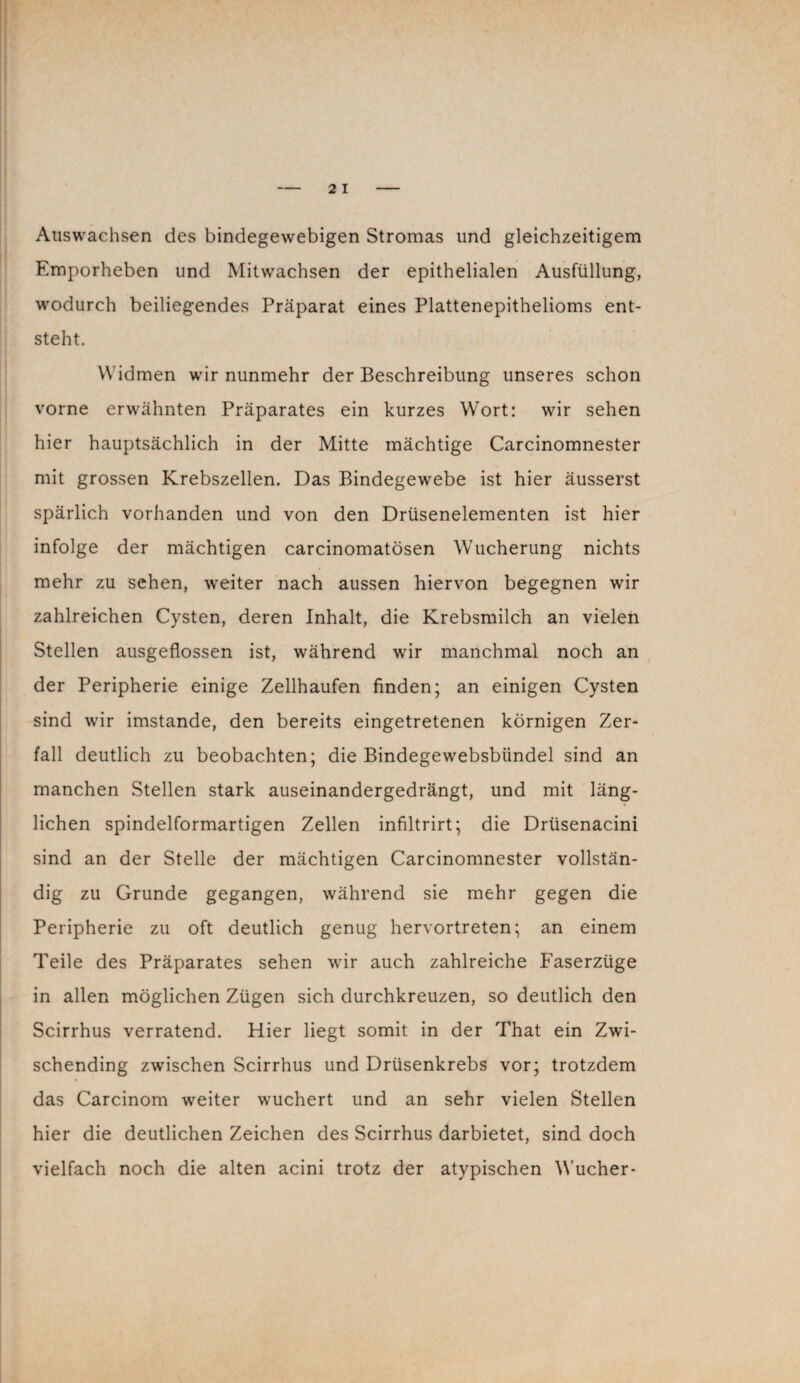 Auswachsen des bindegewebigen Stromas und gleichzeitigem Emporheben und Mitwachsen der epithelialen Ausfüllung, wodurch beiliegendes Präparat eines Plattenepithelioms ent¬ steht. Widmen wir nunmehr der Beschreibung unseres schon vorne erwähnten Präparates ein kurzes Wort: wir sehen hier hauptsächlich in der Mitte mächtige Carcinomnester mit grossen Krebszellen. Das Bindegewebe ist hier äusserst spärlich vorhanden und von den Drüsenelementen ist hier infolge der mächtigen carcinomatösen Wucherung nichts mehr zu sehen, weiter nach aussen hiervon begegnen wir zahlreichen Cysten, deren Inhalt, die Krebsmilch an vielen Stellen ausgeflossen ist, während wir manchmal noch an der Peripherie einige Zellhaufen finden; an einigen Cysten sind wir imstande, den bereits eingetretenen körnigen Zer¬ fall deutlich zu beobachten; die Bindegewebsbtindel sind an manchen Stellen stark auseinandergedrängt, und mit läng¬ lichen spindelformartigen Zellen infiltrirt; die Drüsenacini sind an der Stelle der mächtigen Carcinomnester vollstän¬ dig zu Grunde gegangen, während sie mehr gegen die Peripherie zu oft deutlich genug hervortreten; an einem Teile des Präparates sehen wir auch zahlreiche Faserzüge in allen möglichen Zügen sich durchkreuzen, so deutlich den Scirrhus verratend. Hier liegt somit in der That ein Zwi¬ schending zwischen Scirrhus und Drüsenkrebs vor; trotzdem das Carcinom weiter wuchert und an sehr vielen Stellen hier die deutlichen Zeichen des Scirrhus darbietet, sind doch vielfach noch die alten acini trotz der atypischen Wucher-