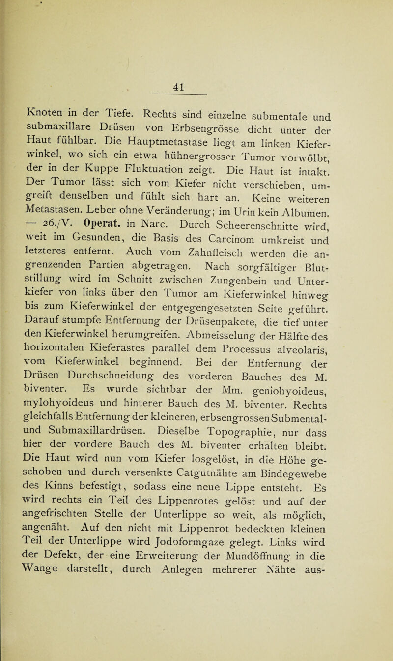 Knoten in der Tiefe. Rechts sind einzelne submentale und submaxillare Drüsen von Erbsengrösse dicht unter der Haut fühlbar. Die Hauptmetastase liegt am linken Kiefer¬ winkel, wo sich ein etwa hühnergrosser Tumor vorwölbt, der in der Kuppe Fluktuation zeigt. Die Haut ist intakt. Der Tumor lässt sich vom Kiefer nicht verschieben, um¬ greift denselben und fühlt sich hart an. Keine weiteren Metastasen. Leber ohne Veränderung; im Urin kein Albumen. 26./V. Operat. in Narc. Durch Scheerenschnitte wird, weit im Gesunden, die Basis des Carcinom umkreist und letzteres entfernt. Auch vom Zahnfleisch werden die an¬ grenzenden Partien abgetragen. Nach sorgfältiger Blut¬ stillung wird im Schnitt zwischen Zungenbein und Unter- kiefei von links über den Tumor am Kieferwinkel hinweg bis zum Kieferwinkel der entgegengesetzten Seite geführt. Darauf stumpfe Entfernung der Drüsenpakete, die tief unter den Kieferwinkel herumgreifen. Abmeisselung der Hälfte des horizontalen Kieferastes parallel dem Processus alveolaris, vom Kieferwinkel beginnend. Bei der Entfernung der Drüsen Durchschneidung des vorderen Bauches des M. biventer. Es wurde sichtbar der Mm. geniohyoideus, mylohyoideus und hinterer Bauch des M. biventer. Rechts gleichfalls Entfernung der kleineren, erbsengrossen Submental- und Submaxillardrüsen. Dieselbe Topographie, nur dass hier der vordere Bauch des M. biventer erhalten bleibt. Die Haut wird nun vom Kiefer losgelöst, in die Höhe ge¬ schoben und durch versenkte Catgutnähte am Bindegewebe des Kinns befestigt, sodass eine neue Lippe entsteht. Es wird rechts ein Teil des Lippenrotes gelöst und auf der angefrischten Stelle der Unterlippe so weit, als möglich, angenäht. Auf den nicht mit Lippenrot bedeckten kleinen Teil der Unterlippe wird Jodoformgaze gelegt. Links wird der Defekt, der eine Erweiterung der Mundöffnung in die Wange darstellt, durch Anlegen mehrerer Nähte aus-