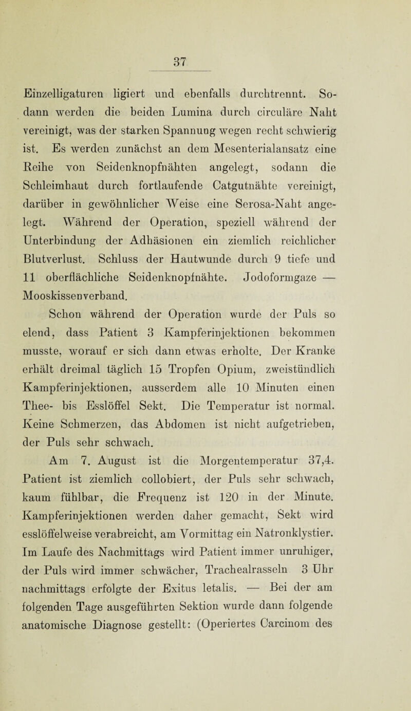 Einzelligaturen ligiert und ebenfalls durchtrennt. So¬ dann werden die beiden Lumina durch circulare Naht vereinigt, was der starken Spannung wegen recht schwierig ist. Es werden zunächst an dem Mesenterialansatz eine Reihe yon Seidenknopfnähten angelegt, sodann die Schleimhaut durch fortlaufende Catgutnähte vereinigt, darüber in gewöhnlicher Weise eine Scrosa-Naht ange¬ legt. Während der Operation, speziell während der Unterbindung der Adhäsionen ein ziemlich reichlicher Blutverlust. Schluss der Hautwunde durch 9 tiefe und 11 oberflächliche Seidenknopfnähte. Jodoformgaze — Mooskissen verband. Schon während der Operation wurde der Puls so elend, dass Patient 3 Kampferinjektionen bekommen musste, worauf er sich dann etwas erholte. Der Kranke erhält dreimal täglich 15 Tropfen Opium, zweistündlich Kampferinjektionen, ausserdem alle 10 Minuten einen Tliee- bis Esslöffel Sekt. Die Temperatur ist normal. Keine Schmerzen, das Abdomen ist nicht aufgetrieben, der Puls sehr schwach. Am 7. August ist die Morgentemperatur 37,4. Patient ist ziemlich collobiert, der Puls sehr schwach, kaum fühlbar, die Frequenz ist 120 in der Minute. Kampferinjektionen werden daher gemacht, Sekt wird esslöffelweise verabreicht, am Vormittag ein Natronklystier. Im Laufe des Nachmittags wird Patient immer unruhiger, der Puls wird immer schwächer, Trachealrasseln 3 Uhr nachmittags erfolgte der Exitus letalis. — Bei der am folgenden Tage ausgeführten Sektion wurde dann folgende anatomische Diagnose gestellt: (Operiertes Carcinom des