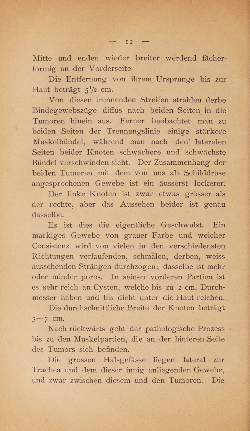 Mitte und enden wieder breiter werdend fächer¬ förmig an der Vorderseite. Die Entfernung von ihrem Ursprünge bis zur Haut beträgt 5l/2 cm. Von diesen trennenden Streifen strahlen derbe Bindegewebszüge diffus nach beiden Seiten in die Tumoren hinein aus. Ferner beobachtet man zu beiden Seiten der Trennungslinie einige stärkere Muskelbündel, während man nach den' lateralen Seiten beider Knoten schwächere und schwächste Bündel verschwinden sieht. Der Zusammenhang der beiden Tumoren mit dem von uns als Schilddrüse angesprochenen Gewebe ist ein äusserst lockerer. Der linke Knoten ist zwar etwas grösser als der rechte, aber das Aussehen beider ist genau dasselbe. Es ist dies die eigentliche Geschwulst. Ein markiges Gewebe von grauer Farbe und weicher Consistenz wird von vielen in den verschiedensten Richtungen verlaufenden, schmalen, derben, weiss aussehenden Strängen durchzogen; dasselbe ist mehr oder minder porös. In seinen vorderen Partien ist es sehr reich an Cysten, welche bis zu 2 cm. Durch¬ messer haben und bis dicht unter die Haut reichen. Die durchschnittliche Breite der Knoten beträgt 5 — 7 cm.. Nach rückwärts geht der pathologische Prozess bis zu den Muskelpartien, die an der hinteren Seite des Tumors sich befinden. Die grossen Halsgefässe liegen lateral zur Trachea und dem dieser innig anliegenden Gewebe, und zwar zwischen diesem und den Tumoren. Die