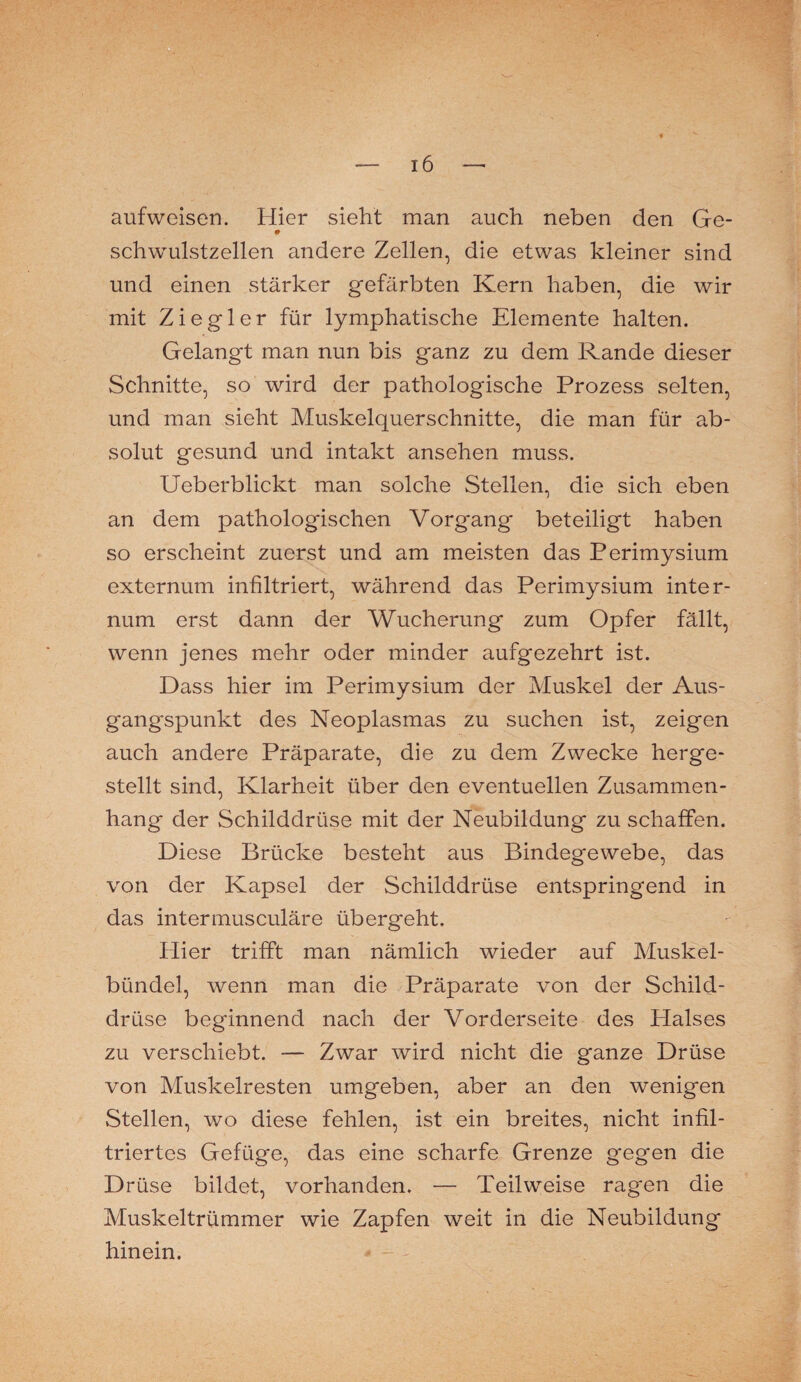 aufweisen. Hier sieht man auch neben den Ge- schwulstzellen andere Zellen, die etwas kleiner sind und einen stärker gefärbten Kern haben, die wir mit Ziegler für lymphatische Elemente halten. Gelangt man nun bis ganz zu dem Rande dieser Schnitte, so ward der pathologische Prozess selten, und man sieht Muskelquerschnitte, die man für ab¬ solut gesund und intakt ansehen muss. Ueberblickt man solche Stellen, die sich eben an dem pathologischen Vorgang beteiligt haben so erscheint zuerst und am meisten das Perimysium externum infiltriert, während das Perimysium inter- num erst dann der Wucherung zum Opfer fällt, wenn jenes mehr oder minder aufgezehrt ist. Dass hier im Perimysium der Muskel der Aus¬ gangspunkt des Neoplasmas zu suchen ist, zeigen auch andere Präparate, die zu dem Zwecke herge¬ stellt sind, Klarheit über den eventuellen Zusammen¬ hang der Schilddrüse mit der Neubildung zu schaffen. Diese Brücke besteht aus Bindegewebe, das von der Kapsel der Schilddrüse entspringend in das intermusculäre übergeht. Hier trifft man nämlich wieder auf Muskel¬ bündel, wenn man die Präparate von der Schild¬ drüse beginnend nach der Vorderseite des Halses zu verschiebt. — Zwar wird nicht die ganze Drüse von Muskelresten umgeben, aber an den wenigen Stellen, wo diese fehlen, ist ein breites, nicht infil¬ triertes Gefüge, das eine scharfe Grenze g*egen die Drüse bildet, vorhanden. — Teilweise ragen die Muskeltrümmer wie Zapfen weit in die Neubildung hinein.