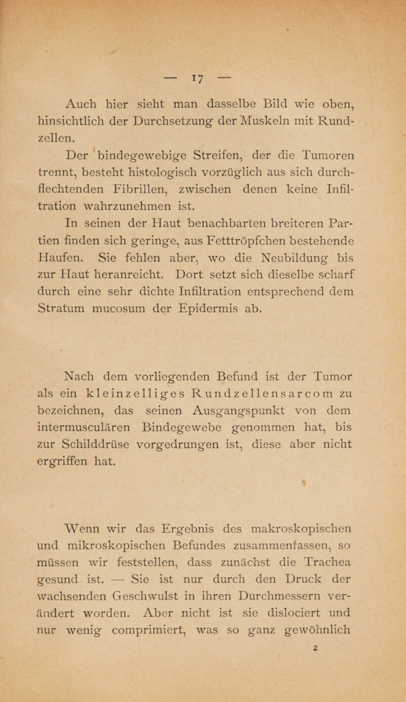 Auch hier sieht man dasselbe Bild wie oben, hinsichtlich der Durchsetzung der Muskeln mit Rund- zellcn. Der bindegewebige Streifen, der die Tumoren trennt, besteht histologisch vorzüglich aus sich durch¬ flechtenden Fibrillen, zwischen denen keine Infil¬ tration wahrzunehmen ist. In seinen der Haut benachbarten breiteren Par¬ tien finden sich geringe, aus Fetttröpfchen bestehende Haufen. Sie fehlen aber, wo die Neubildung bis zur Haut heranreicht. Dort setzt sich dieselbe scharf durch eine sehr dichte Infiltration entsprechend dem Stratum mucosum der Epidermis ab. Nach dem vorliegenden Befund ist der Tumor als ein kleinzelliges Rundzelle nsarcom zu bezeichnen, das seinen Ausgangspunkt von dem intermusculären Bindegewebe genommen hat, bis zur Schilddrüse vorgedrungen ist, diese aber nicht ergriffen hat. Wenn wir das Ergebnis des makroskopischen und mikroskopischen Befundes zusammenfassen, so müssen wir feststellen, dass zunächst die Trachea gesund ist. — Sie ist nur durch den Druck der wachsenden Geschwulst in ihren Durchmessern ver¬ ändert worden. Aber nicht ist sie dislociert und nur wenig comprimiert, was so ganz gewöhnlich 2