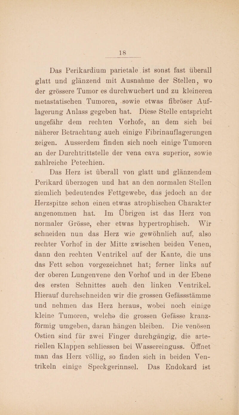 Das Perikardium parietale . ist sonst fast überall glatt und glänzend mit Ausnahme der Stellen, wo der grössere Tumor es durchwuchert und zu kleineren metastatischen Tumoren, sowie etwas fibröser Auf¬ lagerung Anlass gegeben hat. Diese Stelle entspricht ungefähr dem rechten Vorhofe, an dem sich bei näherer Betrachtung auch einige Fibrinauflagerungen zeigen. Ausserdem finden sich noch einige Tumoren an der Durchtrittstelle der vena cava superior, sowie zahlreiche Petechien. Das Herz ist überall von glatt und glänzendem Perikard überzogen und hat an den normalen Stellen ziemlich bedeutendes Fettgewebe, das jedoch an der Herzspitze schon einen etwas atrophischen Charakter • • angenommen hat. Im Übrigen ist das Herz von normaler Grösse, eher etwas hypertrophisch. Wir schneiden nun das Herz wie gewöhnlich auf, also rechter Vorhof in der Mitte zwischen beiden Venen, dann den rechten Ventrikel auf der Kante, die uns das Fett schon vorgezeichnet hat; ferner links auf der oberen Lungenvene den Vorhof und in der Ebene des ersten Schnittes auch den linken Ventrikel. Hierauf durchschneiden wir die grossen Gefässstämme und nehmen das Herz heraus, wobei noch einige kleine Tumoren, welche die grossen Gefässe kranz¬ förmig umgeben, daran hängen bleiben. Die venösen Ostien sind für zwei Finger durchgängig, die arte¬ riellen Klappen schliessen bei Wassereinguss. Öffnet man das Herz völlig, so finden sich in beiden Ven¬ trikeln einige Speckgerinnsel. Das Endokard ist
