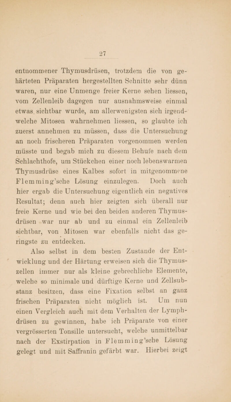 entnommener Thymusdrüsen, trotzdem die von ge¬ härteten Präparaten hergestellten Schnitte sehr dünn waren, nur eine Unmenge freier Kerne sehen liessen, vom Zellenleib dagegen nur ausnahmsweise einmal etwas sichtbar wurde, am allerwenigsten sich irgend¬ welche Mitosen wahrnehmen liessen, so glaubte ich zuerst annehmen zu müssen, dass die Untersuchung an noch frischeren Präparaten vorgenommen werden müsste und begab mich zu diesem Behüte nach dem Schlachthofe, um Stückchen einer noch lebenswarmen Thymusdrüse eines Kalbes sofort in mitgenommene Flemming’sche Lösung einzulegen. Doch auch hier ergab die Untersuchung eigentlich ein negatives Resultat; denn auch hier zeigten sich überall nur freie Kerne und wie bei den beiden anderen Thymus¬ drüsen war nur ab und zu einmal ein Zellenleib sichtbar, von Mitosen war ebenfalls nicht das ge- • • ringste zu entdecken. Also selbst in dem besten Zustande der Ent¬ wicklung und der Härtung erweisen sich die Thymus¬ zellen immer nur als kleine gebrechliche Elemente, welche so minimale und dürftige Kerne und Zellsub¬ stanz besitzen, dass eine Fixation selbst an ganz frischen Präparaten nicht möglich ist. Um nun einen Vergleich auch mit dem Verhalten der Lymph- drüsen zu gewinnen, habe ich Präparate von einer vergrösserten Tonsille untersucht, welche unmittelbar nach der Exstirpation in Flemming’sche Lösung gelegt und mit Saffranin gefärbt war. Hierbei zeigt