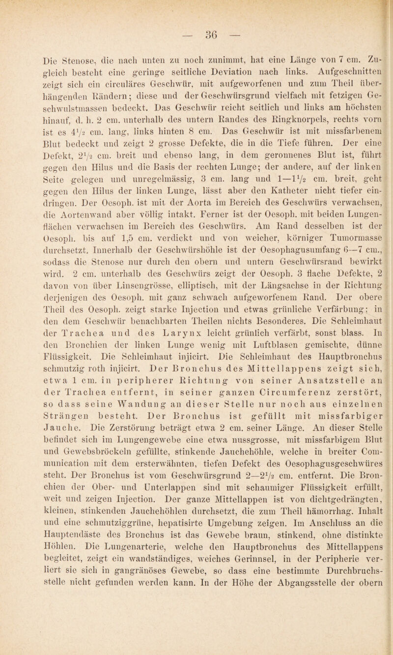 Die Stenose, die nach unten zu noch zunimint, hat eine Länge von 7 cm. Zu¬ gleich besteht eine geringe seitliche Deviation nach links. Aufgeschnitten zeigt sich ein circulares Geschwür, mit aufgeworfenen und zum Theil über¬ hängenden Rändern; diese und der Geschwürsgrund vielfach mit fetzigen Ge¬ schwulstmassen bedeckt. Das Geschwür reicht seitlich und links am höchsten hinauf, d. h. 2 cm. unterhalb des untern Randes des Ringknorpels, rechts vorn ist es 47^ cm. lang, links hinten 8 cm. Das Geschwür ist mit missfarbenem Blut bedeckt und zeigt 2 grosse Defekte, die in die Tiefe führen. Der eine Defekt, 272 cm. breit und ebenso lang, in dem geronnenes Blut ist, führt gegen den Hilus und die Basis der rechten Lunge; der andere, auf der linken Seite gelegen und unregelmässig, 3 cm. lang und 1—172 cm. breit, geht gegen den Hilus der linken Lunge, lässt aber den Katheter nicht tiefer ein- dringen. Der Oesoph. ist mit der Aorta im Bereich des Geschwürs verwachsen, die Aortenwand aber völlig intakt. Ferner ist der Oesoph. mit beiden Lungen¬ flächen verwachsen im Bereich des Geschwürs. Am Rand desselben ist der Oesoph. bis auf 1,5 cm. verdickt und von weicher, körniger Tumormasse durchsetzt. Innerhalb der Geschwürshöhle ist der Oesophagusumfang ß—7 cm., sodass die Stenose nur durch den obern und untern Geschwürsrand bewirkt wird. 2 cm. unterhalb des Geschwürs zeigt der Oesoph. 3 flache Defekte, 2 davon von über Linsengrösse, elliptisch, mit der Längsachse in der Richtung derjenigen des Oesoph. mit ganz schwach aufgeworfenem Rand. Der obere Theil des Oesoph. zeigt starke Injection und etwas grünliche Verfärbung; in den dem Geschwür benachbarten Theilen nichts Besonderes. Die Schleimhaut der Trachea und des Larynx leicht grünlich verfärbt, sonst blass. In den Bronchien der linken Lunge wenig mit Luftblasen gemischte, dünne Flüssigkeit. Die Schleimhaut injicirt. Die Schleimhaut des Hauptbronchus schmutzig roth injicirt. Der Bronchus des Mitte 11 appens zeigt sich, etwa 1 cm. in peripherer Richtung von seiner Ansatzstelle an der Trachea entfernt, in seiner ganzen Circumferenz zerstört, so dass seine Wandung an dieser Stelle nur noch aus einzelnen Strängen besteht. Der Bronchus ist gefüllt mit missfarbiger Jauche. Die Zerstörung beträgt etwa 2 cm. seiner Länge. An dieser Stelle befindet sich im Lungengewebe eine etwa nussgrosse, mit missfarbigem Blut und Gewebsbröckeln gefüllte, stinkende Jauchehöhle, welche in breiter Com- munication mit dem ersterwähnten, tiefen Defekt des Oesophagusgeschwüres steht. Der Bronchus ist vom Geschwürsgrund 2—272 cm. entfernt. Die Bron¬ chien der Ober- und ünterlappen sind mit schaumiger Flüssigkeit erfüllt, weit und zeigen Injection. Der ganze Mittellappen ist von dichtgedrängten, kleinen, stinkenden Jauchehöhlen durchsetzt, die zum Theil hämorrhag. Inhalt und eine schmutziggrüne, hepatisirte Umgebung zeigen. Im Anschluss an die Hauptendäste des Bronchus ist das Gewebe braun, stinkend, ohne distinkte Höhlen. Die Lungenarterie, welche den Hauptbronchus des Mittellappens begleitet, zeigt ein wandständiges, weiches Gerinnsel, in der Peripherie ver¬ liert sie sich in gangränöses Gewebe, so dass eine bestimmte Durchbruchs¬ stelle nicht gefunden werden kann. In der Höhe der Abgangsstelle der obern