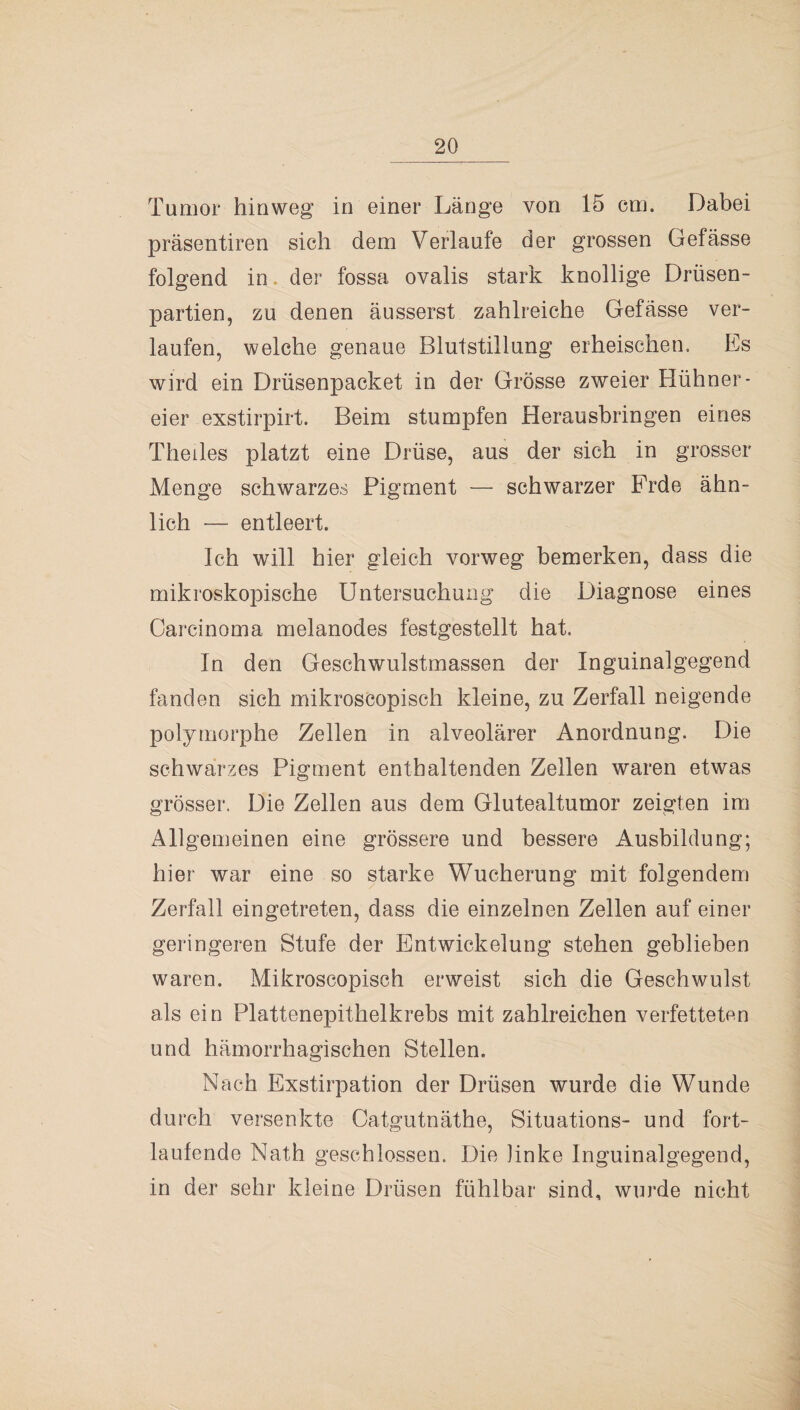 Tumor hinweg in einer Länge von 15 cm. Dabei präsentiren sich dem Verlaufe der grossen Gefässe folgend in der fossa ovalis stark knollige Drüsen¬ partien, zu denen äusserst zahlreiche Gefässe ver¬ laufen, welche genaue Blutstillung erheischen. Es wird ein Drüsenpacket in der Grösse zweier Hühner¬ eier exstirpirt. Beim stumpfen Herausbringen eines Theiles platzt eine Drüse, aus der sich in grosser Menge schwarzes Pigment — schwarzer Frde ähn¬ lich — entleert. Ich will hier gleich vorweg bemerken, dass die mikroskopische Untersuchung die Diagnose eines Carcinoma melanodes festgestellt hat. In den Geschwulstmassen der Inguinalgegend fanden sich mikroscopisch kleine, zu Zerfall neigende polymorphe Zellen in alveolärer Anordnung. Die schwarzes Pigment enthaltenden Zellen waren etwas grösser. Die Zellen aus dem Glutealtumor zeigten im Allgemeinen eine grössere und bessere Ausbildung; hier war eine so starke Wucherung mit folgendem Zerfall eingetreten, dass die einzelnen Zellen auf einer geringeren Stufe der Entwickelung stehen geblieben waren. Mikroscopisch erweist sich die Geschwulst als ein Plattenepithelkrebs mit zahlreichen verfetteten und hämorrhagischen Stellen. Nach Exstirpation der Drüsen wurde die Wunde durch versenkte Catgutnäthe, Situations- und fort¬ laufende Nath geschlossen. Die linke Inguinalgegend, in der sehr kleine Drüsen fühlbar sind, wurde nicht