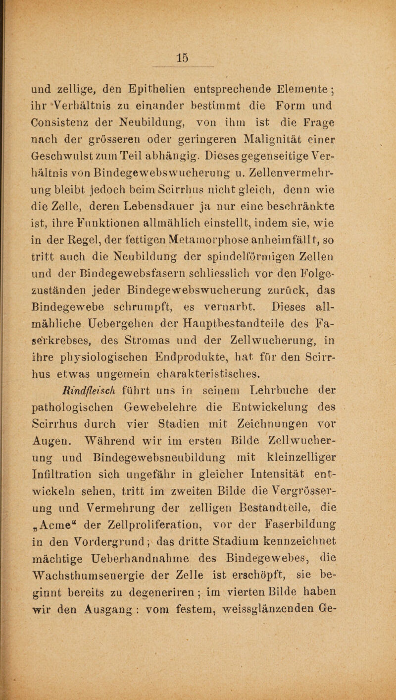 and zellige, den Epithelien entsprechende Elemente; ihr Verhältnis zu einander bestimmt die Form and Consistenz der Neubildung, von ihm ist die Frage nach der grösseren oder geringeren Malignität einer Geschwulst zum Teil abhängig. Dieses gegenseitige Ver¬ hältnis von Bindegewebswucherung u. Zellenvermehr¬ ung bleibt jedoch beimScirrhus nicht gleich, denn wie die Zelle, deren Lebensdauer ja nur eine beschränkte ist, ihre Funktionen allmählich einstellt, indem sie, wie in der Regel, der fettigen Metamorphose anheimfällt, so tritt auch die Neubildung der spindelförmigen Zellen und der Bindegewebsfasern schliesslich vor den Folge¬ zuständen jeder Bindegewebswucherung zurück, das Bindegewebe schrumpft, es vernarbt. Dieses all¬ mähliche Uebergehen der Hauptbestandteile des Fa¬ serkrebses, des Stromas und der Zell Wucherung, in ihre physiologischen Endprodukte, hat für den Scirr- hus etwas ungemein charakteristisches. Rindfleisch führt uns in seinem Lehrbuche der pathologischen Gewebelehre die Entwickelung des Scirrhus durch vier Stadien mit Zeichnungen vor Augen. Während wir im ersten Bilde Zell Wucher¬ ung und Bindegewebsneubildung mit kleinzelliger Infiltration sich ungefähr in gleicher Intensität ent¬ wickeln sehen, tritt im zweiten Bilde die Vergrösser- ung und Vermehrung der zelligen Bestandteile, die „Aeme“ der Zellproliferation, vor der Faserbildung in den Vordergrund; das dritte Stadium kennzeichnet mächtige Ueberhandnahme des Bindegewebes, die Wachsthumsenergie der Zelle ist erschöpft, sie be¬ ginnt bereits zu degeneriren ; im vierten Bilde haben wir den Ausgang : vom festem, weissglänzenden Ge-