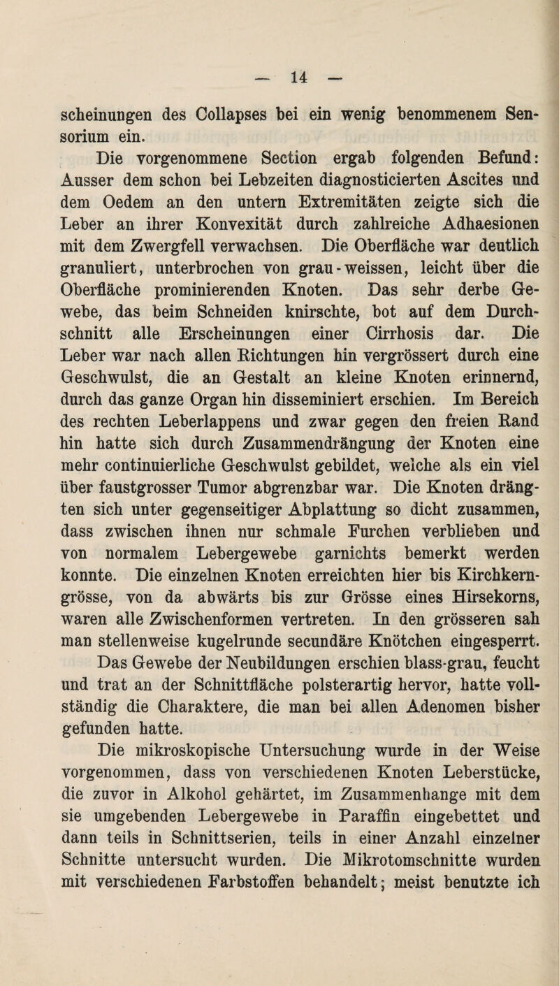 scheinungen des Collapses bei ein wenig benommenem Sen- sorium ein. Die vorgenommene Section ergab folgenden Befund: Ausser dem schon bei Lebzeiten diagnosticierten Ascites und dem Oedem an den untern Extremitäten zeigte sich die Leber an ihrer Konvexität durch zahlreiche Adhaesionen mit dem Zwergfell verwachsen. Die Oberfläche war deutlich granuliert, unterbrochen von grau-weissen, leicht über die Oberfläche prominierenden Knoten. Das sehr derbe Ge¬ webe, das beim Schneiden knirschte, bot auf dem Durch¬ schnitt alle Erscheinungen einer Cirrhosis dar. Die Leber war nach allen Kichtungen hin vergrössert durch eine Geschwulst, die an Gestalt an kleine Knoten erinnernd, durch das ganze Organ hin disseminiert erschien. Im Bereich des rechten Leberlappens und zwar gegen den freien Rand hin hatte sich durch Zusammendrängung der Knoten eine mehr continuierliche Geschwulst gebildet, welche als ein viel über faustgrosser Tumor abgrenzbar war. Die Knoten dräng¬ ten sich unter gegenseitiger Abplattung so dicht zusammen, dass zwischen ihnen nur schmale Furchen verblieben und von normalem Lebergewebe garniehts bemerkt werden konnte. Die einzelnen Knoten erreichten hier bis Kirchkern- grösse, von da abwärts bis zur Grösse eines Hirsekorns, waren alle Zwischenformen vertreten. In den grösseren sah man stellenweise kugelrunde secundäre Knötchen eingesperrt. Das Gewebe der Neubildungen erschien blass-grau, feucht und trat an der Schnittfläche polsterartig hervor, hatte voll¬ ständig die Charaktere, die man bei allen Adenomen bisher gefunden hatte. Die mikroskopische Untersuchung wurde in der Weise vorgenommen, dass von verschiedenen Knoten Leberstücke, die zuvor in Alkohol gehärtet, im Zusammenhänge mit dem sie umgebenden Lebergewebe in Paraffin eingebettet und dann teils in Schnittserien, teils in einer Anzahl einzelner Schnitte untersucht wurden. Die Mikrotomschnitte wurden mit verschiedenen Farbstoffen behandelt; meist benutzte ich