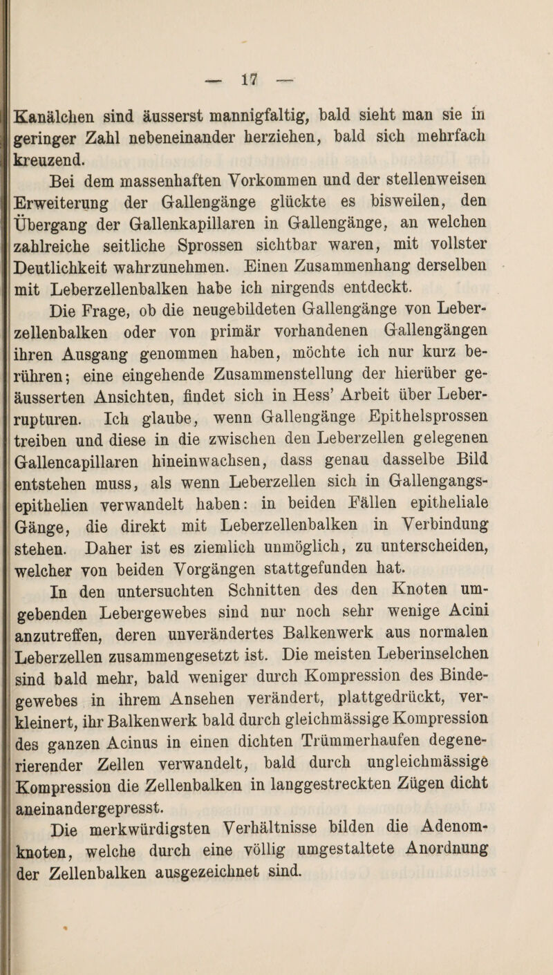 Kanälchen sind äusserst mannigfaltig, bald sieht man sie in geringer Zahl nebeneinander herziehen, bald sich mehrfach kreuzend. Bei dem massenhaften Vorkommen und der stellenweisen Erweiterung der Gallengänge glückte es bisweilen, den Übergang der Gallenkapillaren in Gallengänge, an welchen zahlreiche seitliche Sprossen sichtbar waren, mit vollster Deutlichkeit wahrzunehmen. Einen Zusammenhang derselben mit Leberzellenbalken habe ich nirgends entdeckt. Die Frage, ob die neugebildeten Gallengänge von Leber¬ zellenbalken oder von primär vorhandenen Gallengängen ihren Ausgang genommen haben, möchte ich nur kurz be¬ rühren; eine eingehende Zusammenstellung der hierüber ge- äusserten Ansichten, findet sich in Hess’ Arbeit über Leber¬ rupturen. Ich glaube, wenn Gallengänge Epithelsprossen treiben und diese in die zwischen den Leberzellen gelegenen Gallencapillaren hinein wachsen, dass genau dasselbe Bild entstehen muss, als wenn Leberzellen sich in Gallengangs- epithelien verwandelt haben: in beiden Fällen epitheliale Gänge, die direkt mit Leberzellenbalken in Verbindung stehen. Daher ist es ziemlich unmöglich, zu unterscheiden, welcher von beiden Vorgängen stattgefunden hat. In den untersuchten Schnitten des den Knoten um¬ gebenden Lebergewebes sind nur noch sehr wenige Acini anzutreffen, deren unverändertes Balkenwerk aus normalen Leberzellen zusammengesetzt ist. Die meisten Leberinselchen sind bald mehr, bald weniger durch Kompression des Binde¬ gewebes in ihrem Ansehen verändert, plattgedrückt, ver¬ kleinert, ihr Balkenwerk bald durch gleichmässige Kompression des ganzen Acinus in einen dichten Trümmerhaufen degene¬ rierender Zellen verwandelt, bald durch ungleichmässige Kompression die Zellenbalken in langgestreckten Zügen dicht aneinandergepresst. Die merkwürdigsten Verhältnisse bilden die Adenom¬ knoten, welche durch eine völlig umgestaltete Anordnung der Zellenbalken ausgezeichnet sind. *