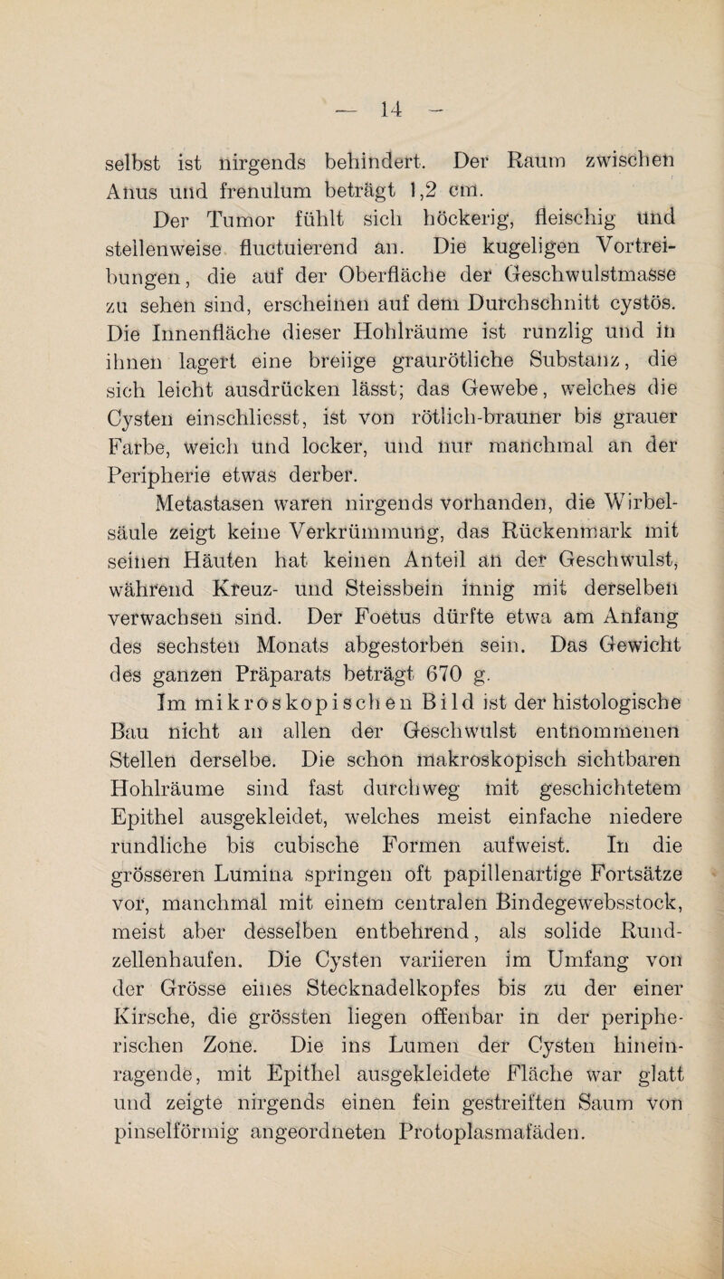 selbst ist nirgends behindert. Der Raum zwischen Anus und frenulum beträgt 1,2 cm. Der Tumor fühlt sich höckerig, fleischig Und stellenweise fluctuierend an. Die kugeligen Vortrei¬ bungen , die auf der Oberfläche der Geschwulstmasse zu sehen sind, erscheinen auf dem Durchschnitt cystös. Die Innenfläche dieser Hohlräume ist runzlig und in ihnen lagert eine breiige graurötliche Substanz, die sich leicht ausdrücken lässt; das Gewebe, weiches die Cysten einschliesst, ist von rötlich-brauner bis grauer Farbe, weich und locker, und nur manchmal an der Peripherie etwas derber. Metastasen waren nirgends vorhanden, die Wirbel¬ säule zeigt keine Verkrümmung, das Rückenmark mit seinen Häuten hat keinen Anteil an der Geschwulst, während Kreuz- und Steissbein innig mit derselben verwachsen sind. Der Foetus dürfte etwa am Anfang des sechsten Monats abgestorben sein. Das Gewicht des ganzen Präparats beträgt 670 g. Im mikroskopisch en Bild ist der histologische Bau nicht an allen der Geschwulst entnommenen Stellen derselbe. Die schon makroskopisch sichtbaren Hohlräume sind fast durchweg mit geschichtetem Epithel ausgekleidet, welches meist einfache niedere rundliche bis cubische Formen aufweist. In die grösseren Lumina springen oft papillenartige Fortsätze vor, manchmal mit einem centralen Bindegewebsstock, meist aber desselben entbehrend, als solide Rund¬ zellenhaufen. Die Cysten variieren im Umfang von der Grösse eines Stecknadelkopfes bis zu der einer Kirsche, die grössten liegen offenbar in der periphe¬ rischen Zone. Die ins Lumen der Cysten hinein¬ ragende, mit Epithel ausgekleidete Fläche war glatt und zeigte nirgends einen fein gestreiften Saum von pinselförmig angeordneten Protoplasmafäden.
