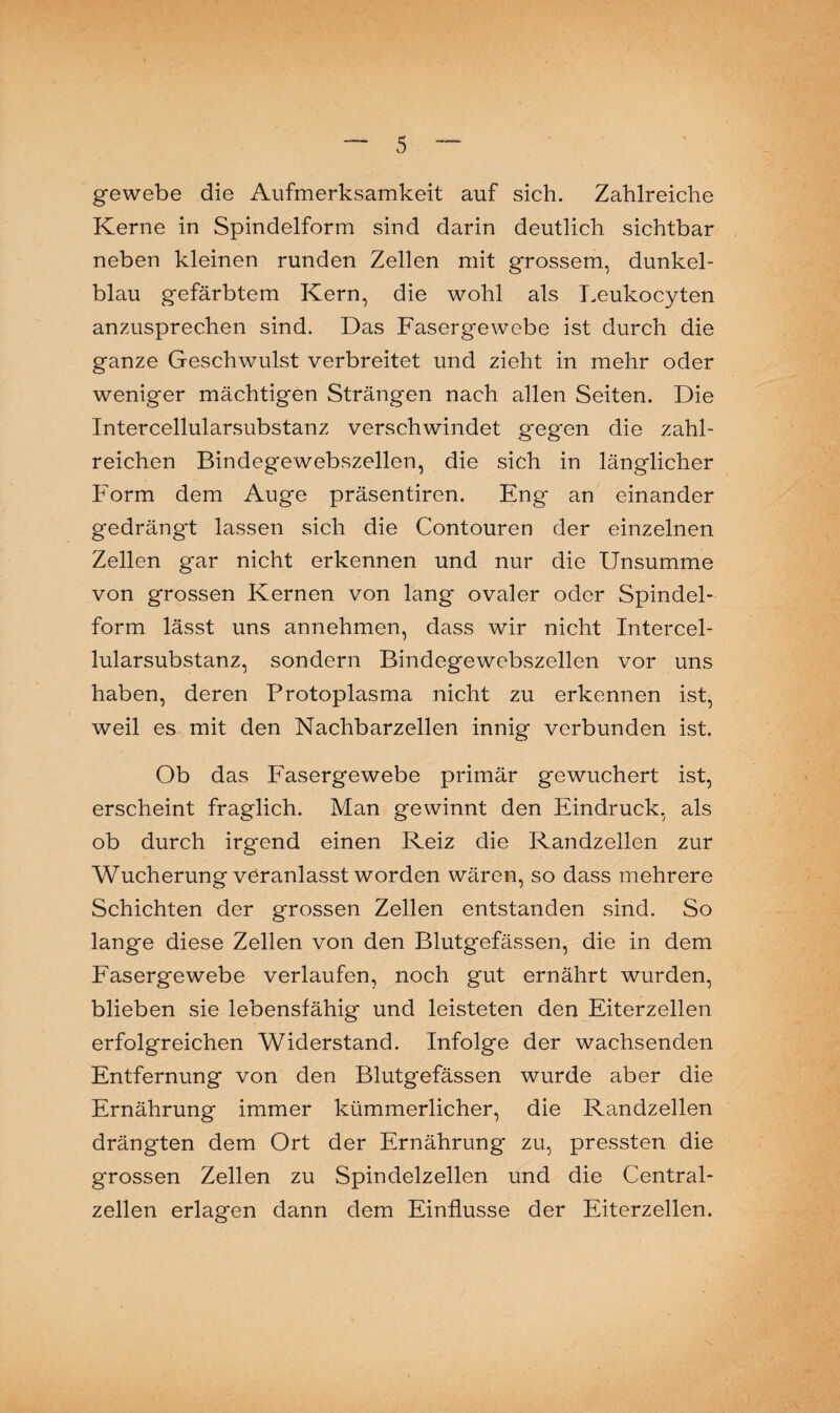 gewebe die Aufmerksamkeit auf sich. Zahlreiche Kerne in Spindelform sind darin deutlich sichtbar neben kleinen runden Zellen mit grossem, dunkel¬ blau gefärbtem Kern, die wohl als Leukocyten anzusprechen sind. Das Fasergewebe ist durch die ganze Geschwulst verbreitet und zieht in mehr oder weniger mächtigen Strängen nach allen Seiten. Die Intercellularsubstanz verschwindet gegen die zahl¬ reichen Bindegewebszellen, die sich in länglicher Form dem Auge präsentiren. Eng an einander gedrängt lassen sich die Contouren der einzelnen Zellen gar nicht erkennen und nur die Unsumme von grossen Kernen von lang ovaler oder Spindel¬ form lässt uns annehmen, dass wir nicht Intercel¬ lularsubstanz, sondern Bindegewebszellen vor uns haben, deren Protoplasma nicht zu erkennen ist, weil es mit den Nachbarzellen innig verbunden ist. Ob das Fasergewebe primär gewuchert ist, erscheint fraglich. Man gewinnt den Eindruck, als ob durch irgend einen Reiz die Randzellen zur Wucherung veranlasst worden wären, so dass mehrere Schichten der grossen Zellen entstanden sind. So lange diese Zellen von den Blutgefässen, die in dem Fasergewebe verlaufen, noch gut ernährt wurden, blieben sie lebensfähig und leisteten den Eiterzellen erfolgreichen Widerstand. Infolge der wachsenden Entfernung von den Blutgefässen wurde aber die Ernährung immer kümmerlicher, die Randzellen drängten dem Ort der Ernährung zu, pressten die grossen Zellen zu Spindelzellen und die Central¬ zellen erlagen dann dem Einflüsse der Eiterzellen.