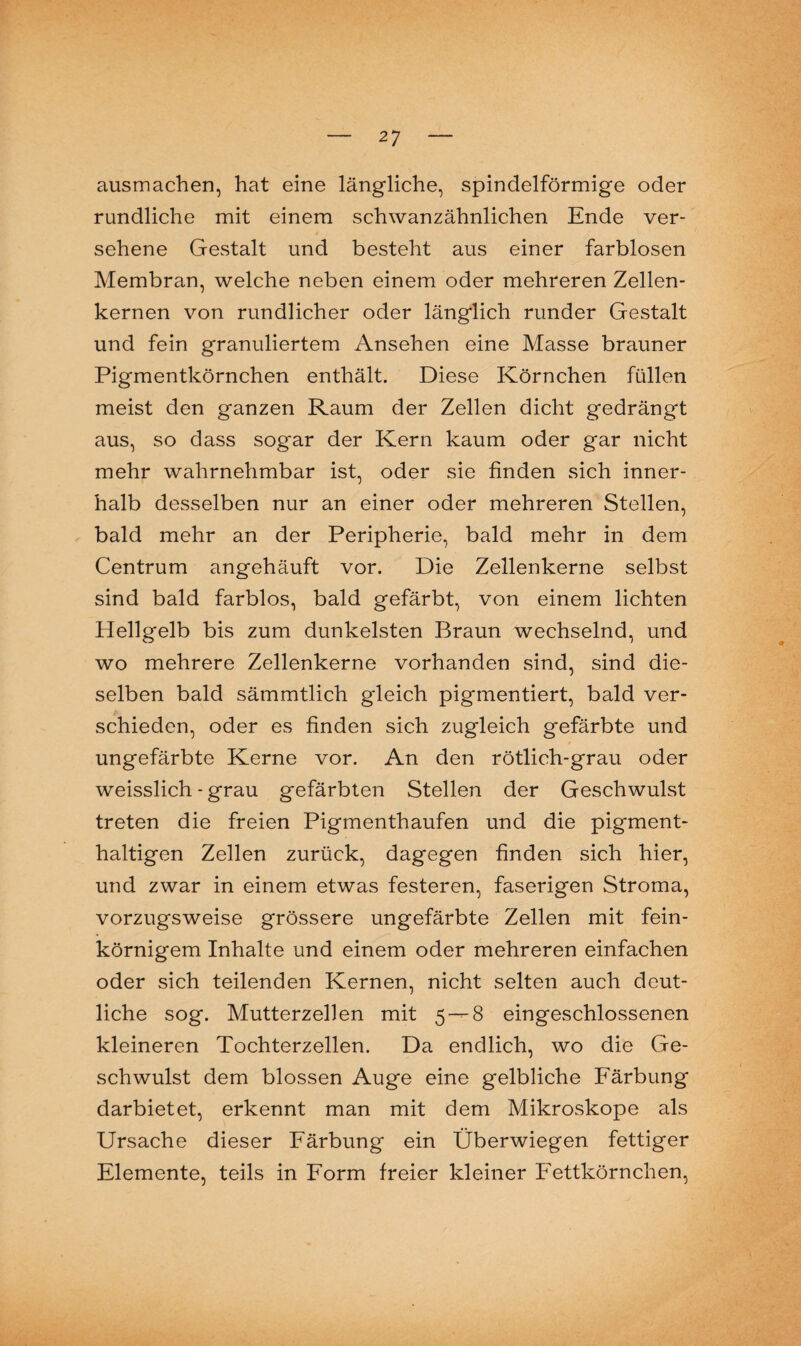 ausmachen, hat eine längliche, spindelförmige oder rundliche mit einem schwanzähnlichen Ende ver¬ sehene Gestalt und besteht aus einer farblosen Membran, welche neben einem oder mehreren Zellen¬ kernen von rundlicher oder länglich runder Gestalt und fein granuliertem Ansehen eine Masse brauner Pigmentkörnchen enthält. Diese Körnchen füllen meist den ganzen Raum der Zellen dicht gedrängt aus, so dass sogar der Kern kaum oder gar nicht mehr wahrnehmbar ist, oder sie finden sich inner¬ halb desselben nur an einer oder mehreren Stellen, bald mehr an der Peripherie, bald mehr in dem Centrum angehäuft vor. Die Zellenkerne selbst sind bald farblos, bald gefärbt, von einem lichten Hellgelb bis zum dunkelsten Braun wechselnd, und wo mehrere Zellenkerne vorhanden sind, sind die¬ selben bald sämmtlich gleich pigmentiert, bald ver¬ schieden, oder es finden sich zugleich gefärbte und ungefärbte Kerne vor. An den rötlich-grau oder weisslich - grau gefärbten Stellen der Geschwulst treten die freien Pigmenthaufen und die pigment¬ haltigen Zellen zurück, dagegen finden sich hier, und zwar in einem etwas festeren, faserigen Stroma, vorzugsweise grössere ungefärbte Zellen mit fein¬ körnigem Inhalte und einem oder mehreren einfachen oder sich teilenden Kernen, nicht selten auch deut¬ liche sog. Mutterzellen mit 5 — 8 eingeschlossenen kleineren Tochterzellen. Da endlich, wo die Ge¬ schwulst dem blossen Auge eine gelbliche Färbung darbietet, erkennt man mit dem Mikroskope als Ursache dieser Färbung ein Überwiegen fettiger Elemente, teils in Form freier kleiner Fettkörnchen,