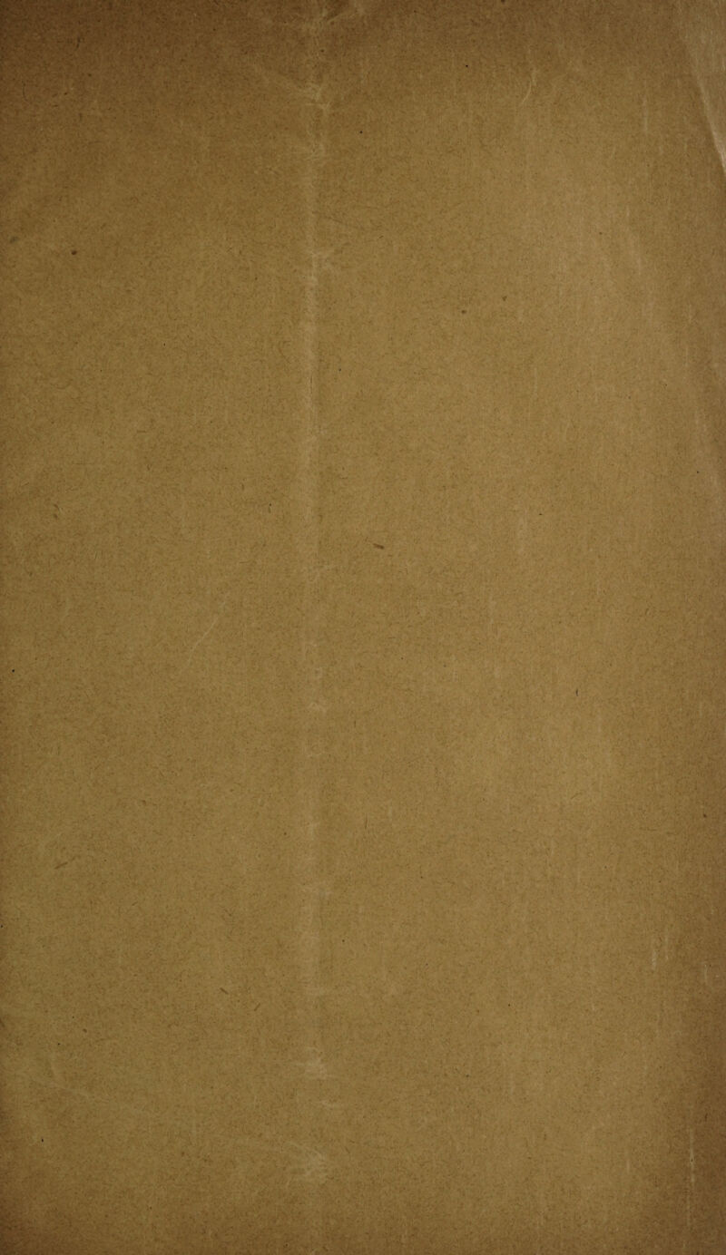 s v: ,'..r .> - ' •' ’ • ■ - ■ •• r. W/J T V - . S — !.« JE 19^ Sv Bir;