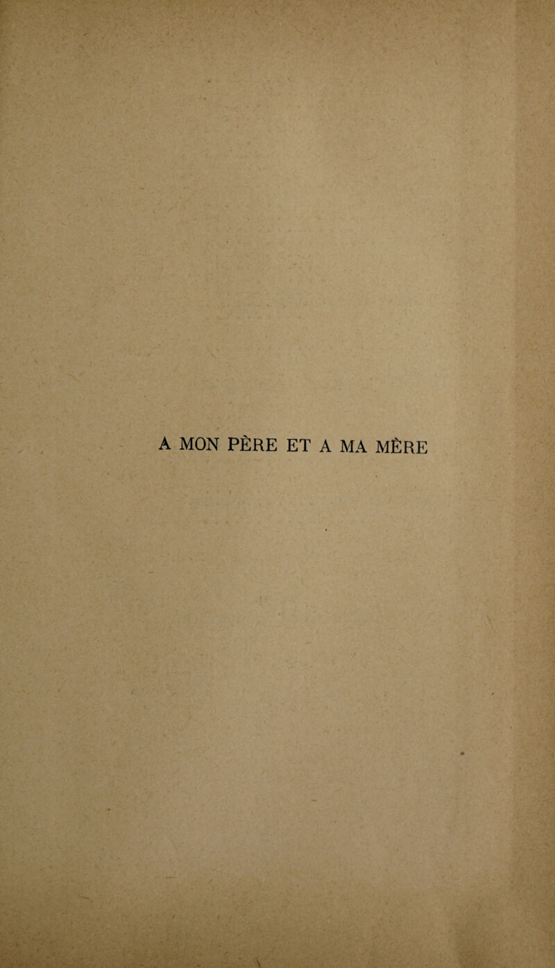 ' as e» - •.' * ' ■;:»Â - A MON PÈRE ET A MA MÈRE .-n / / ■/ Ji* \ '•%i ^V•i5