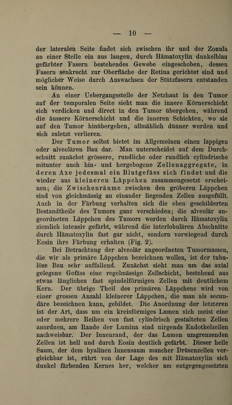 der lateralen Seite findet sich zwischen ihr und der Zonula an einer Stelle ein aus langen, durch Hämatoxylin dunkelblau gefärbter Fasern bestehendes Gewebe eingeschoben, dessen Fasern senkrecht zur Oberfläche der Retina gerichtet sind und möglicher Weise durch Auswachsen der Stützfasern entstanden sein können. An einer Uebergangsstelle der Netzhaut in den Tumor auf der temporalen Seite sieht man die innere Körnerschicht sich verdicken und direct in den Tumor übergehen, während die äussere Körnerschicht und die inneren Schichten, wo sie auf den Tumor hinübergehen, allmählich dünner werden und sich zuletzt verlieren. Der Tumor selbst bietet im Allgemeinen einen lappigen oder alveolären Bau dar. Man unterscheidet auf dem Durch¬ schnitt zunächst grössere, rundliche oder rundlich cylindrische mitunter auch hin- und hergebogene Zellenaggregate, in deren Axe jedesmal ein Blutgefäss sich findet und die wieder aus kleineren Läppchen zusammengesetzt erschei¬ nen; die Zwischenräume zwischen den gröberen Läppchen sind von gleichmässig an einander liegenden Zellen ausgefüllt. Auch in der Färbung verhalten sich die eben geschilderten Bestandtheile des Tumors ganz verschieden; die alveolär an¬ geordneten Läppchen des Tumors werden durch Hämatoxylin ziemlich intensiv gefärbt, während die interlobulären Abschnitte durch Hämatoxylin fast gar nicht, sondern vorwiegend durch Eosin ihre Färbung erhalten (Fig. 2). Bei Betrachtung der alveolär angeordneten Tumormassen, die wir als primäre Läppchen bezeichnen wollen, ist der tubu- löse Bau sehr auffallend. Zunächst sieht man um das axial gelegene Gefäss eine regelmässige Zellschicht, bestehend aus etwas länglichen fast spindelförmigen Zellen mit deutlichem Kern. Der übrige Theil des primären Läppchens wird von einer grossen Anzahl kleinerer Läppchen, die man als secun- däre bezeichnen kann, gebildet. Die Anordnung der letzteren ist der Art, dass um ein kreisförmiges Lumen sich meist eine oder mehrere Reihen von fast cylindrisch gestalteten Zellen anordnen, am Rande der Lumina sind nirgends Endothelzellen nachweisbar. Der Innenrand, der das Lumen umgrenzenden Zellen ist hell und durch Eosin deutlich gefärbt. Dieser helle Saum, der dem hyalinen Innensaum mancher Drüsenzellen ver¬ gleichbar ist, rührt von der Lage des mit Hämatoxylin sich dunkel färbenden Kernes her, welcher am entgegengesetzten